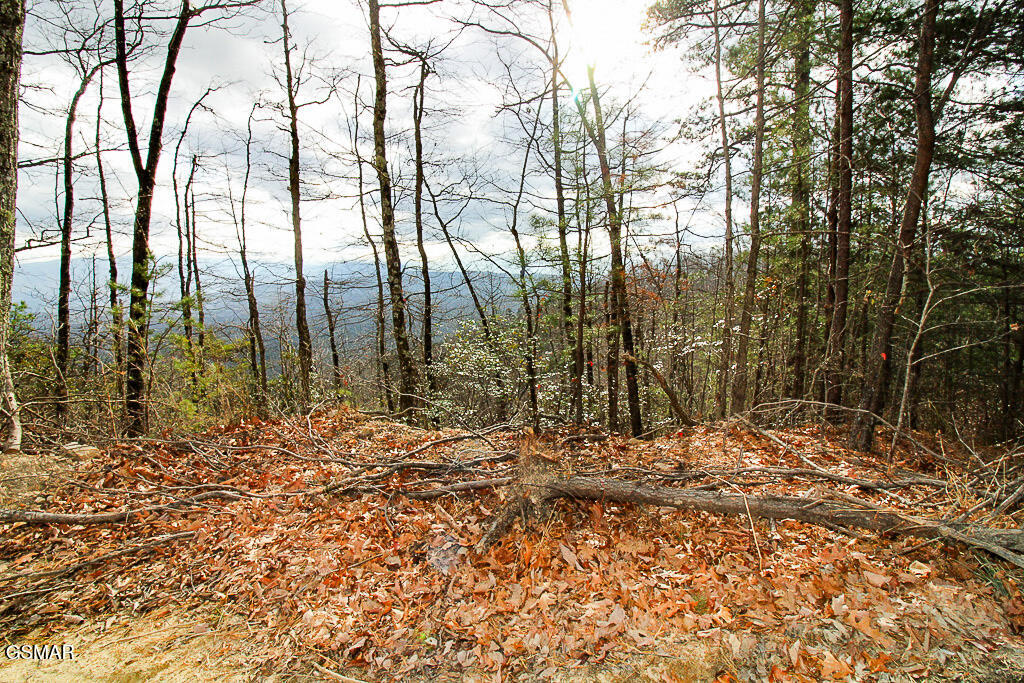 Sevierville, Tennessee, 37876, United States, ,Land,For Sale,2009102