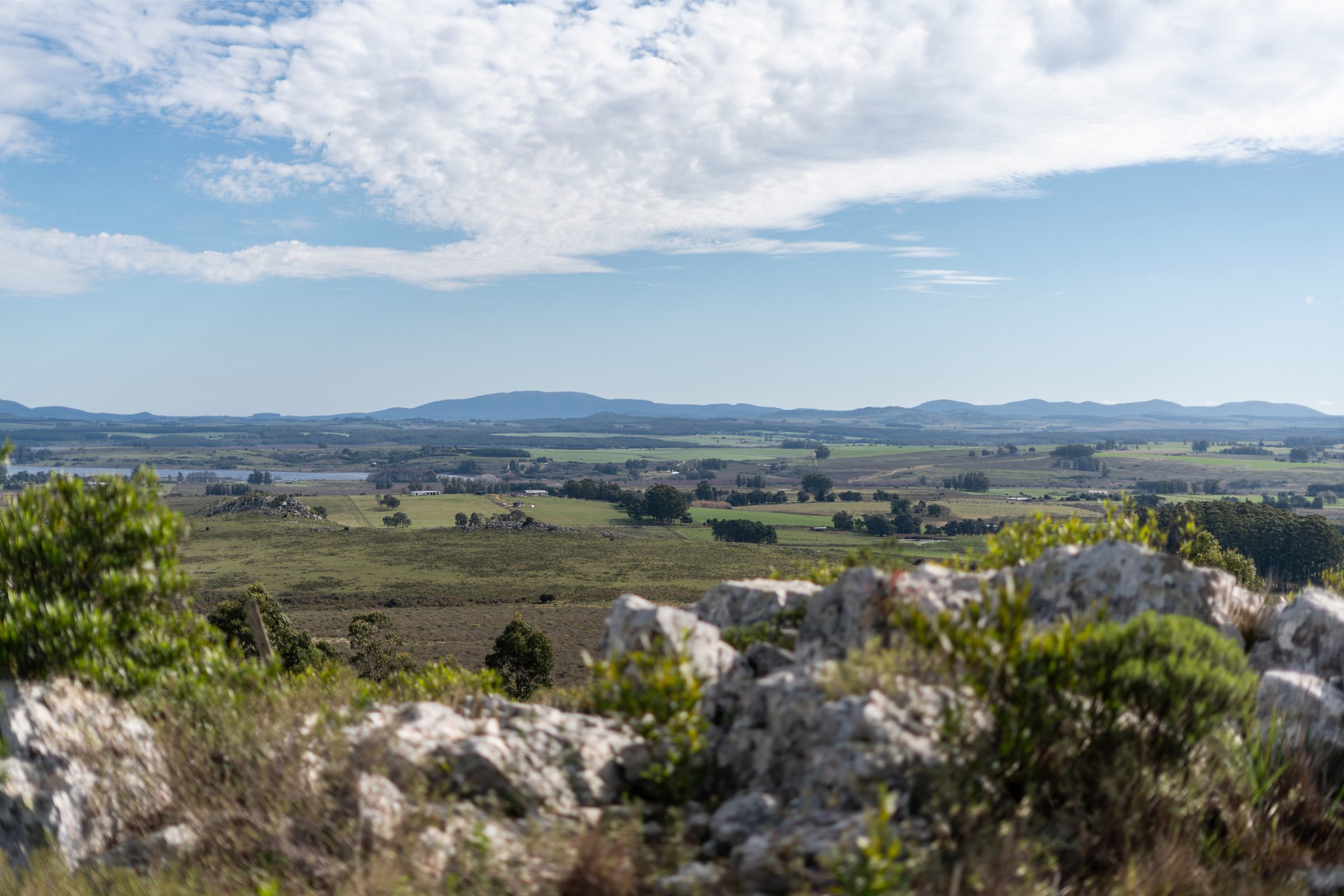  Chacra in Las Vertientes facing Laguna del Sauce. - 物件實景