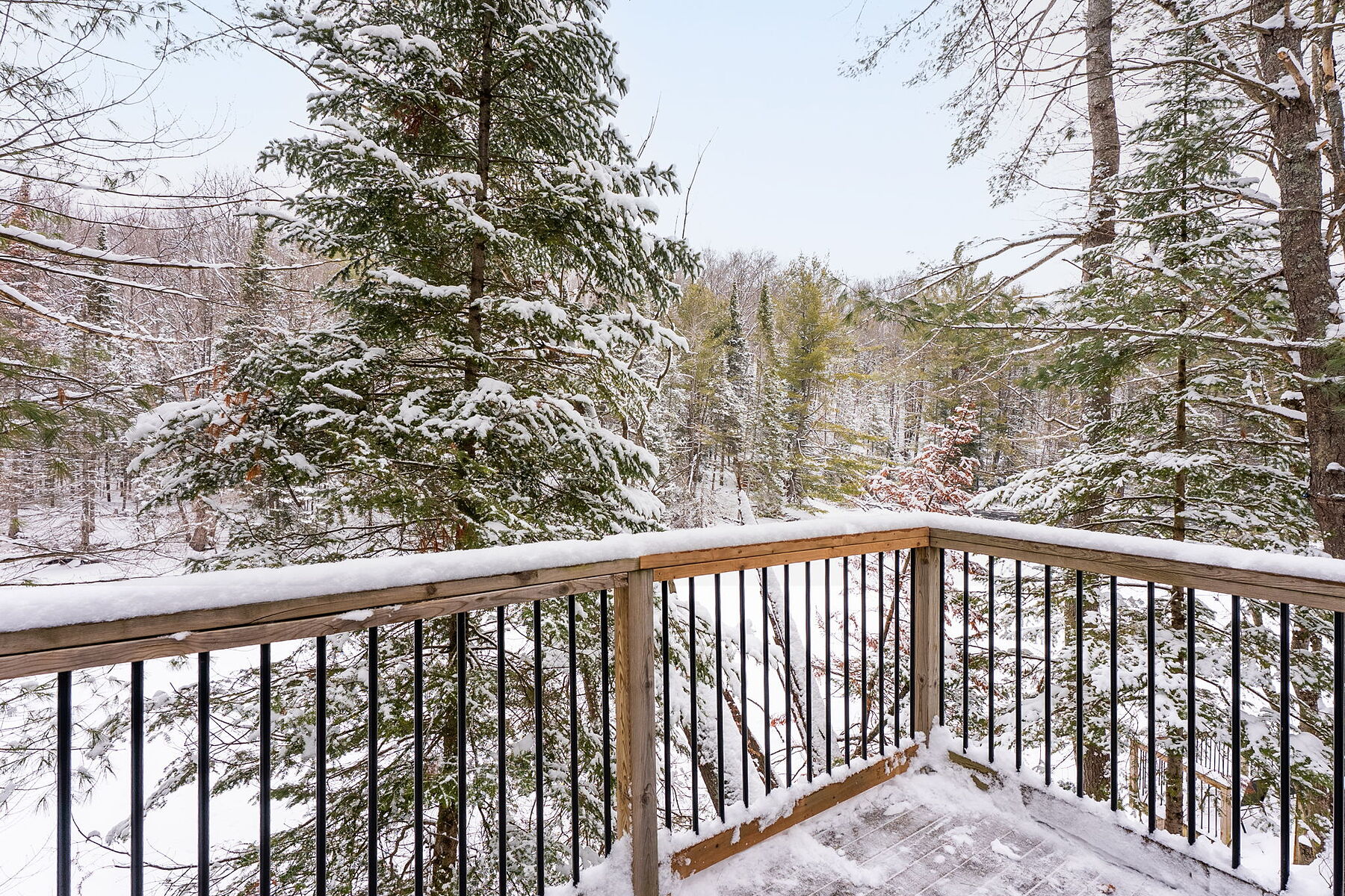  Serene Irondale River Cottage - 物件實景