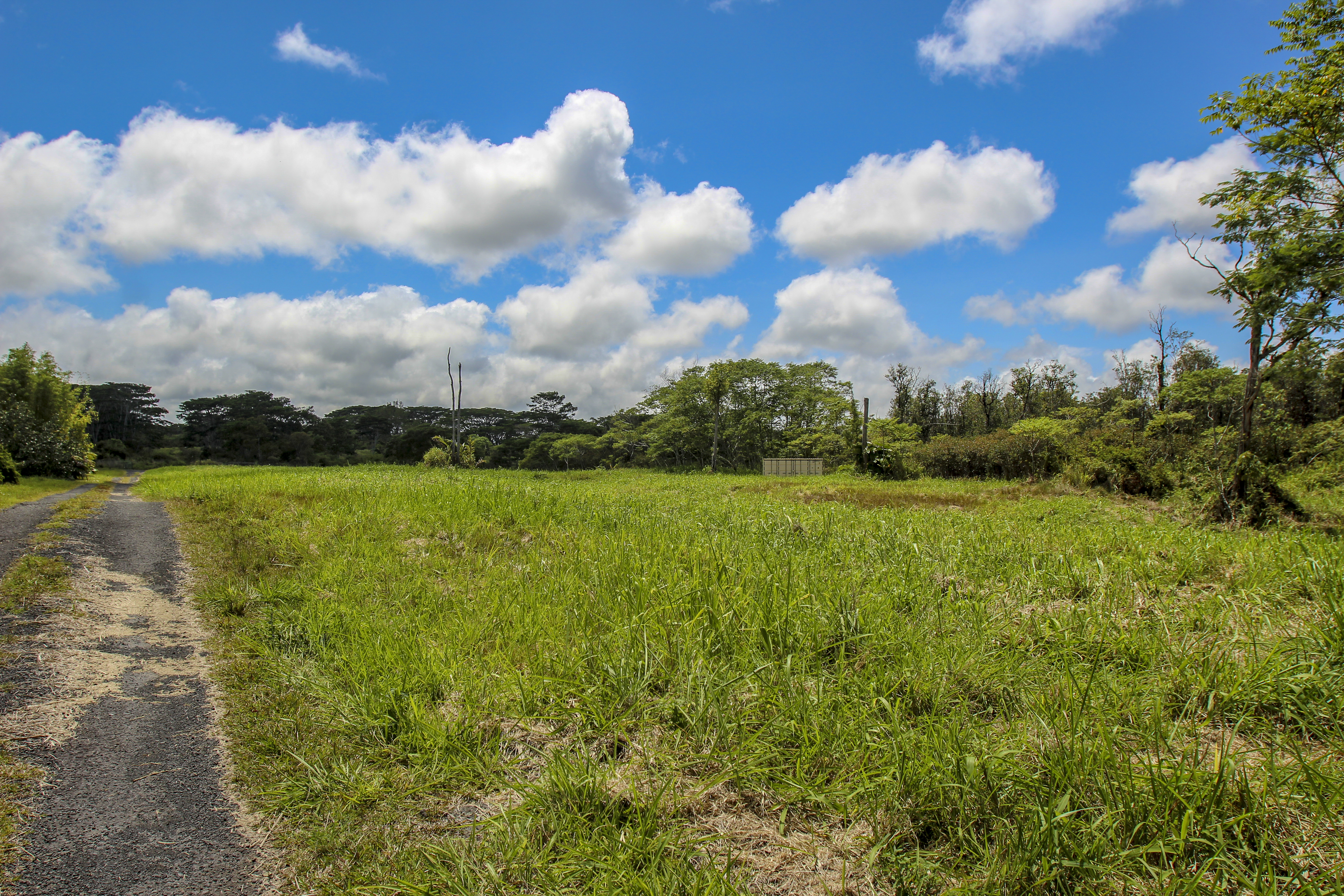  17-820 Manaolana Road, Kurtistown, HI, 96760 - 物件實景