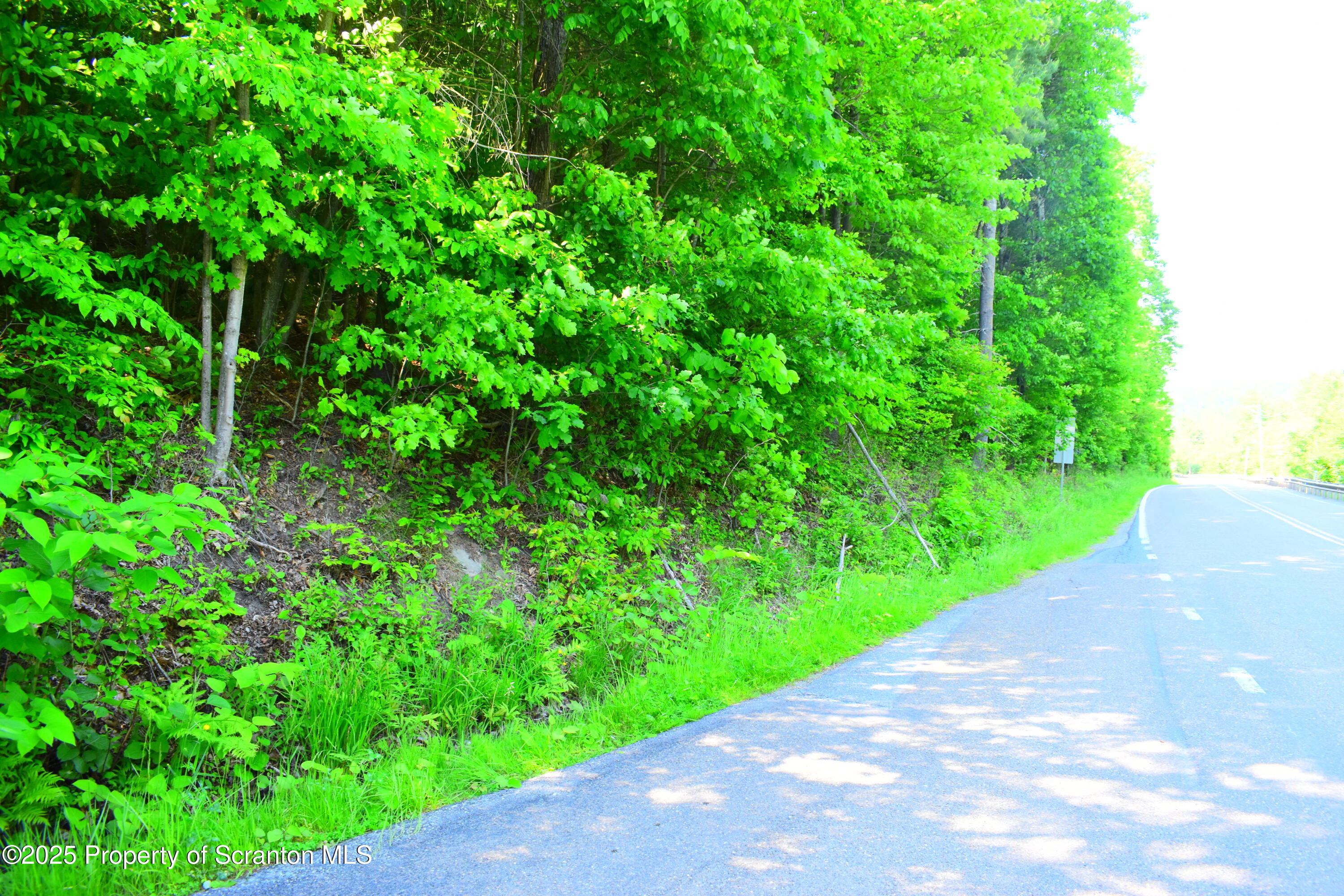 State Route 92, Susquehanna, Pennsylvania, 18847, United States, ,Land,For Sale,State Route 92,1665959