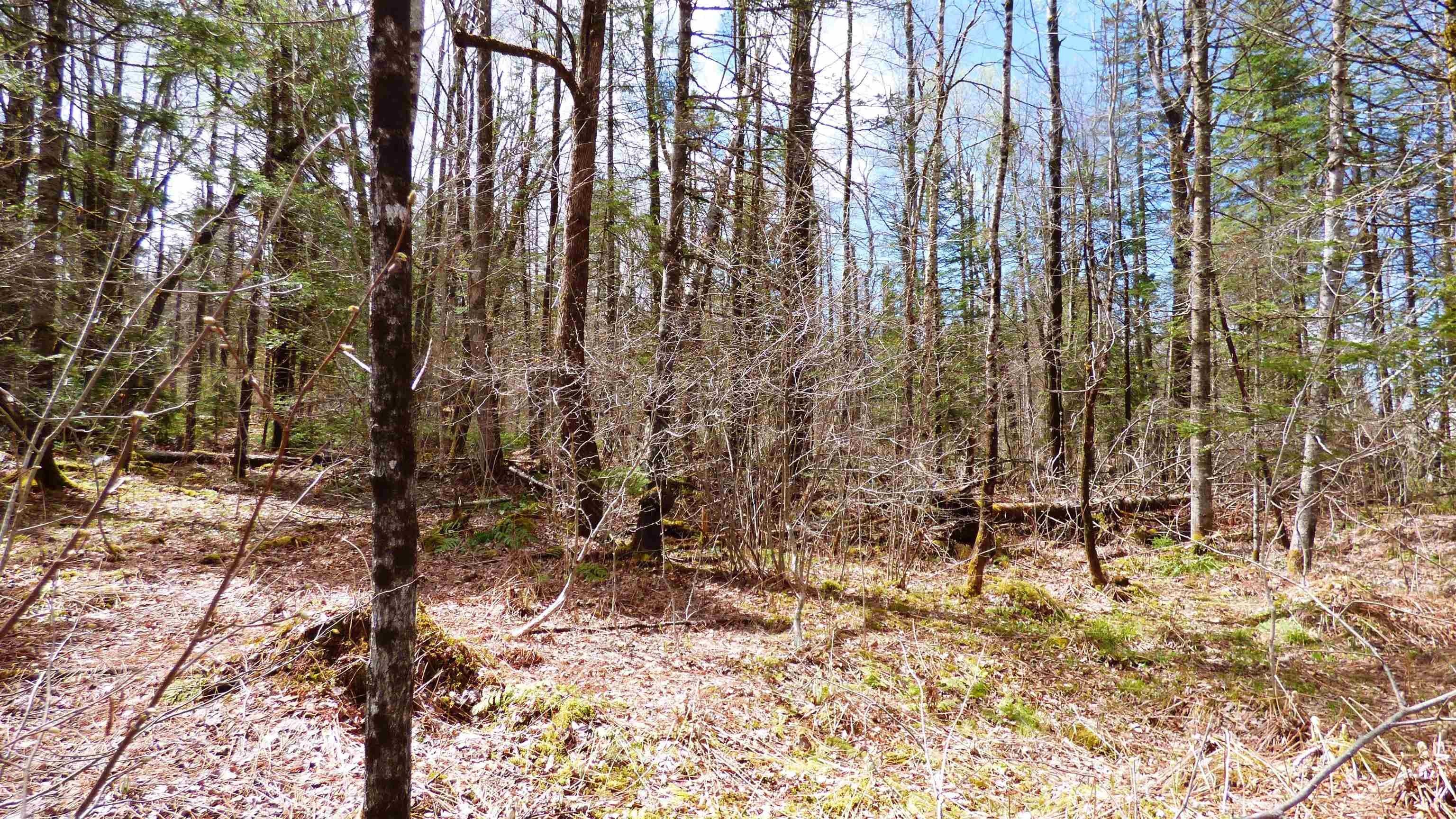 Wheelock, Vermont, 05851, United States, ,Land,For Sale,2017669