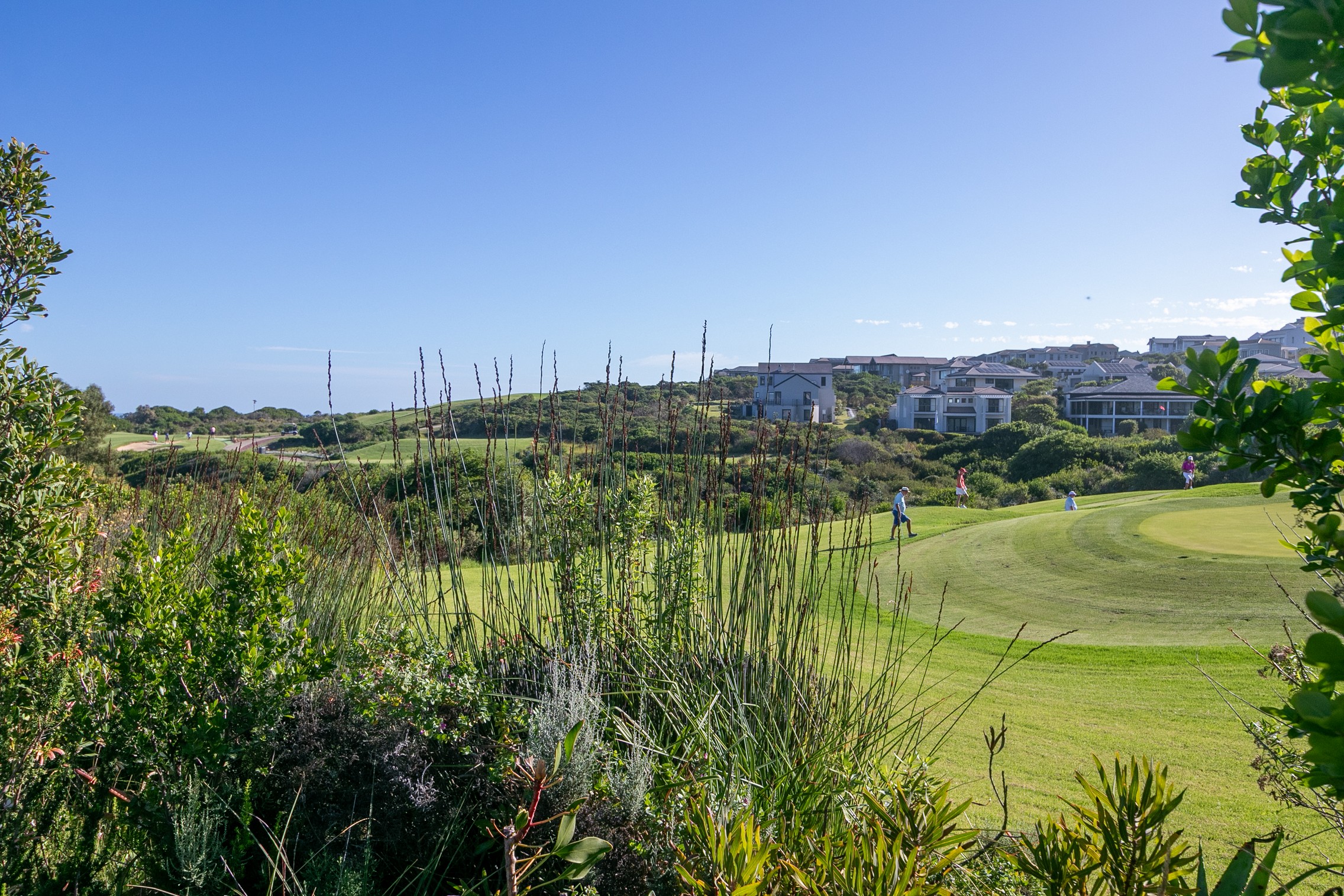  3 Windstar Lane, Pezula Golf Estate - 物件實景