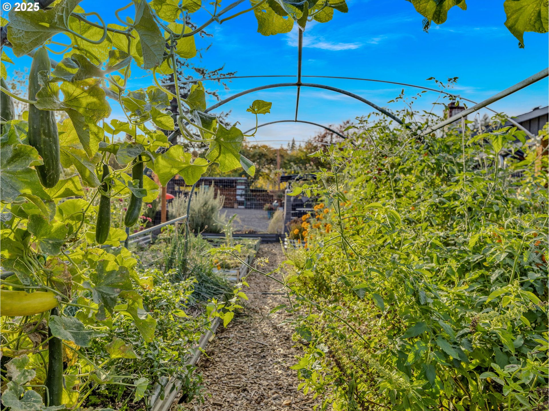 Estacada, Oregon, 97023, United States, 3 Bedrooms Bedrooms, ,2 BathroomsBathrooms,Residential,For Sale,2007742