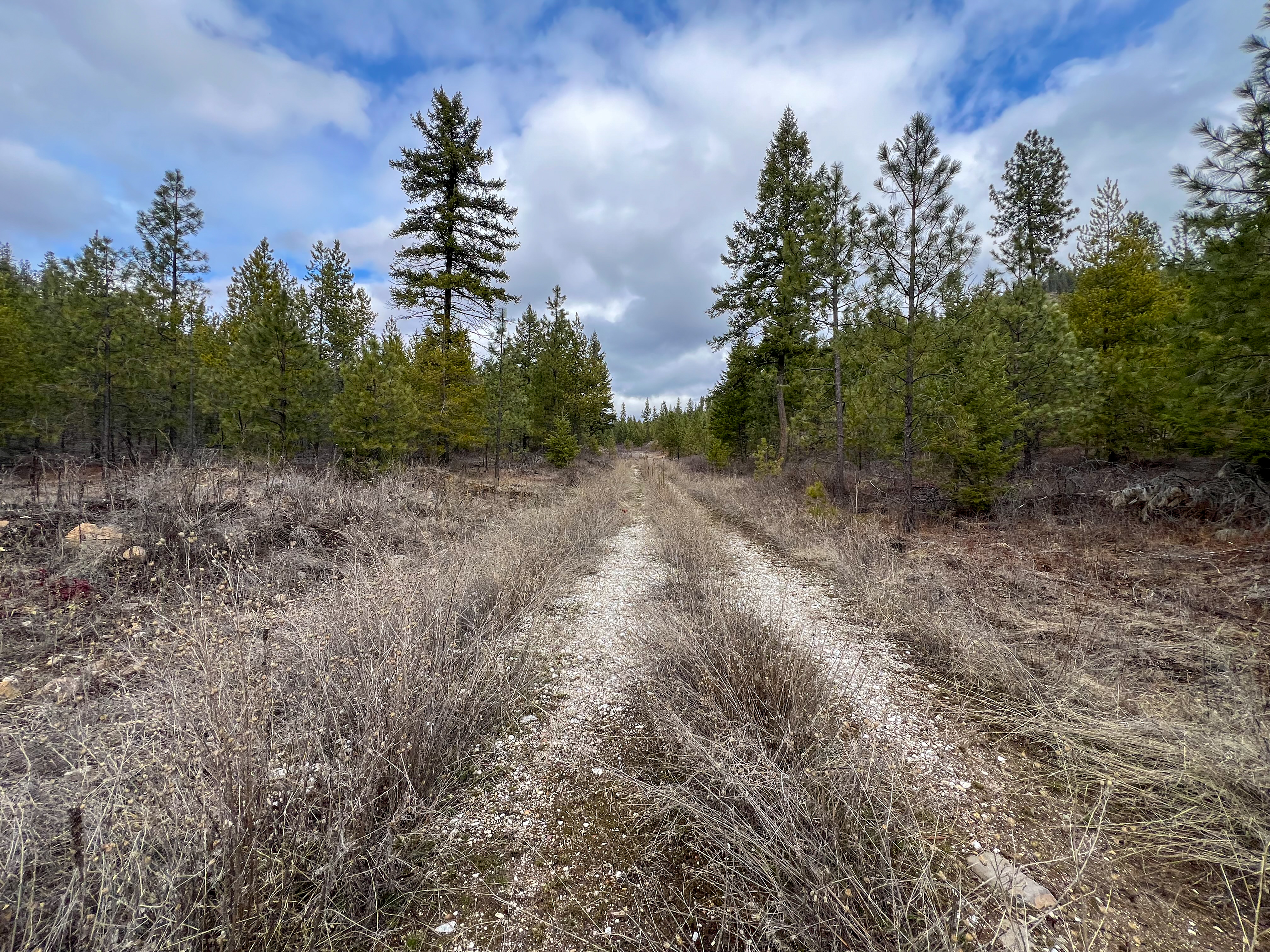 Valley, Washington, 99181, United States, ,Land,For Sale,1979391