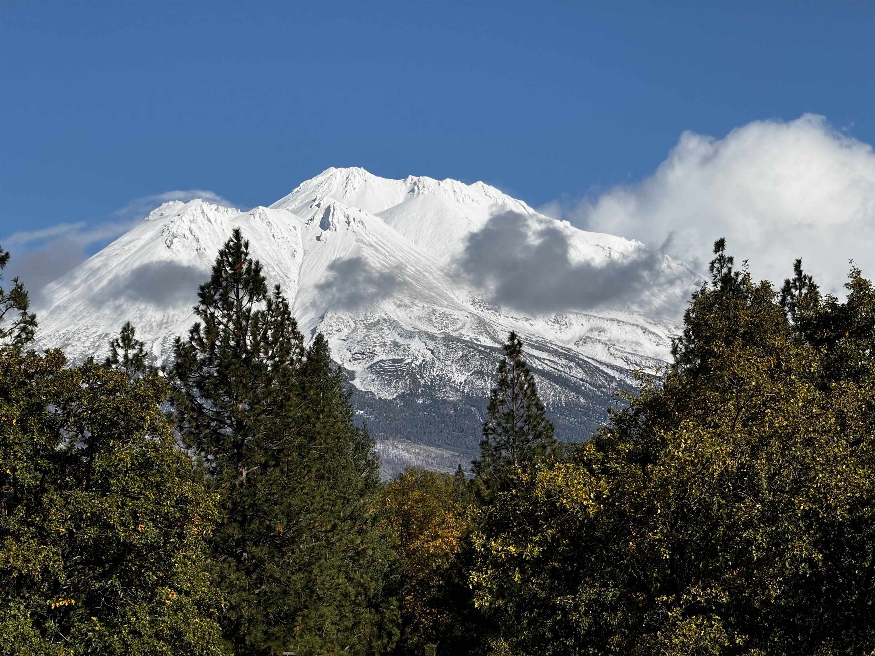 Weed, California, 96094, United States, 4 Bedrooms Bedrooms, ,3 BathroomsBathrooms,Residential,For Sale,2038321