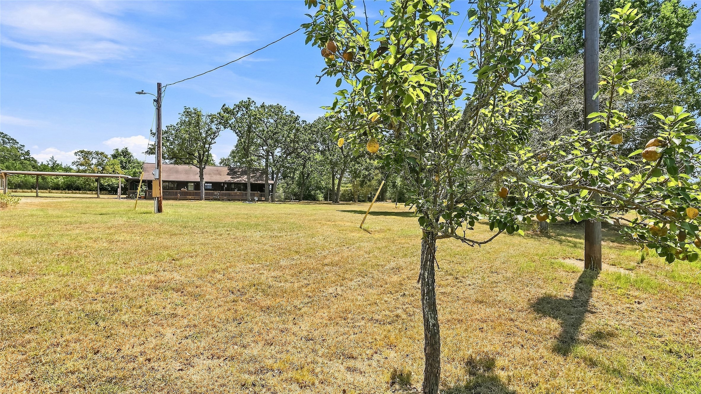  4797 County Road 416 - 物件實景