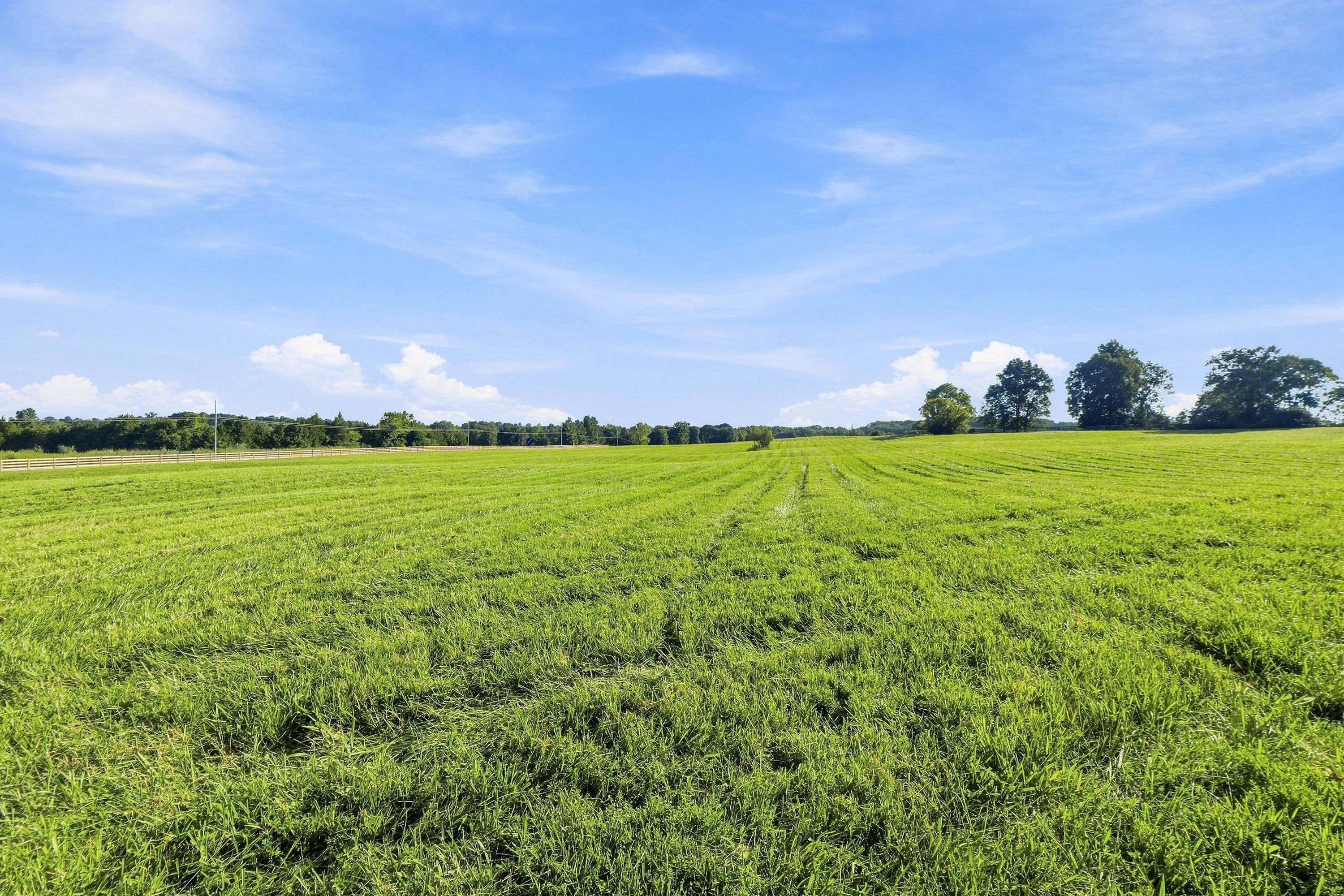 Tract 1 Ballard School Road, La Grange, KY 40031 - 物件實景