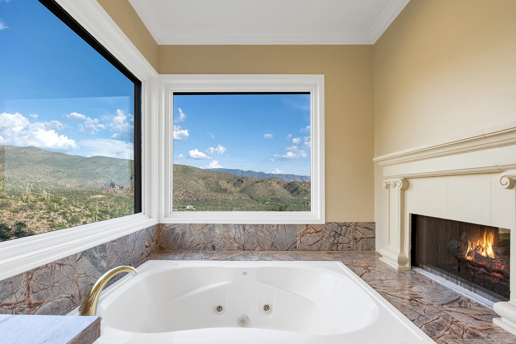  12536 E Mira Vista Canyon Place¦Tucson, AZ - 物件實景