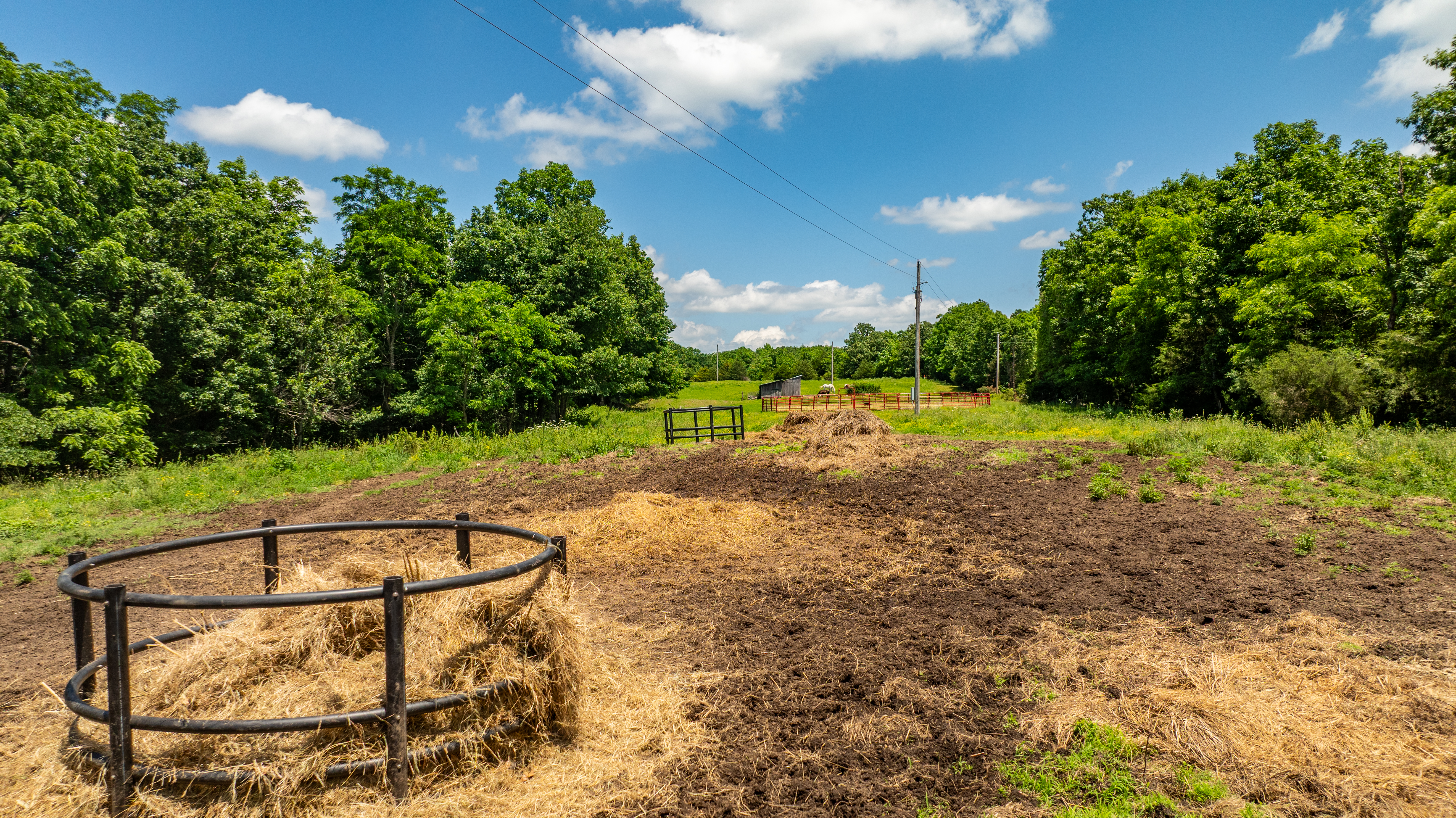  2306 County Road 8050, Jasper, AR, 72641 - 物件實景