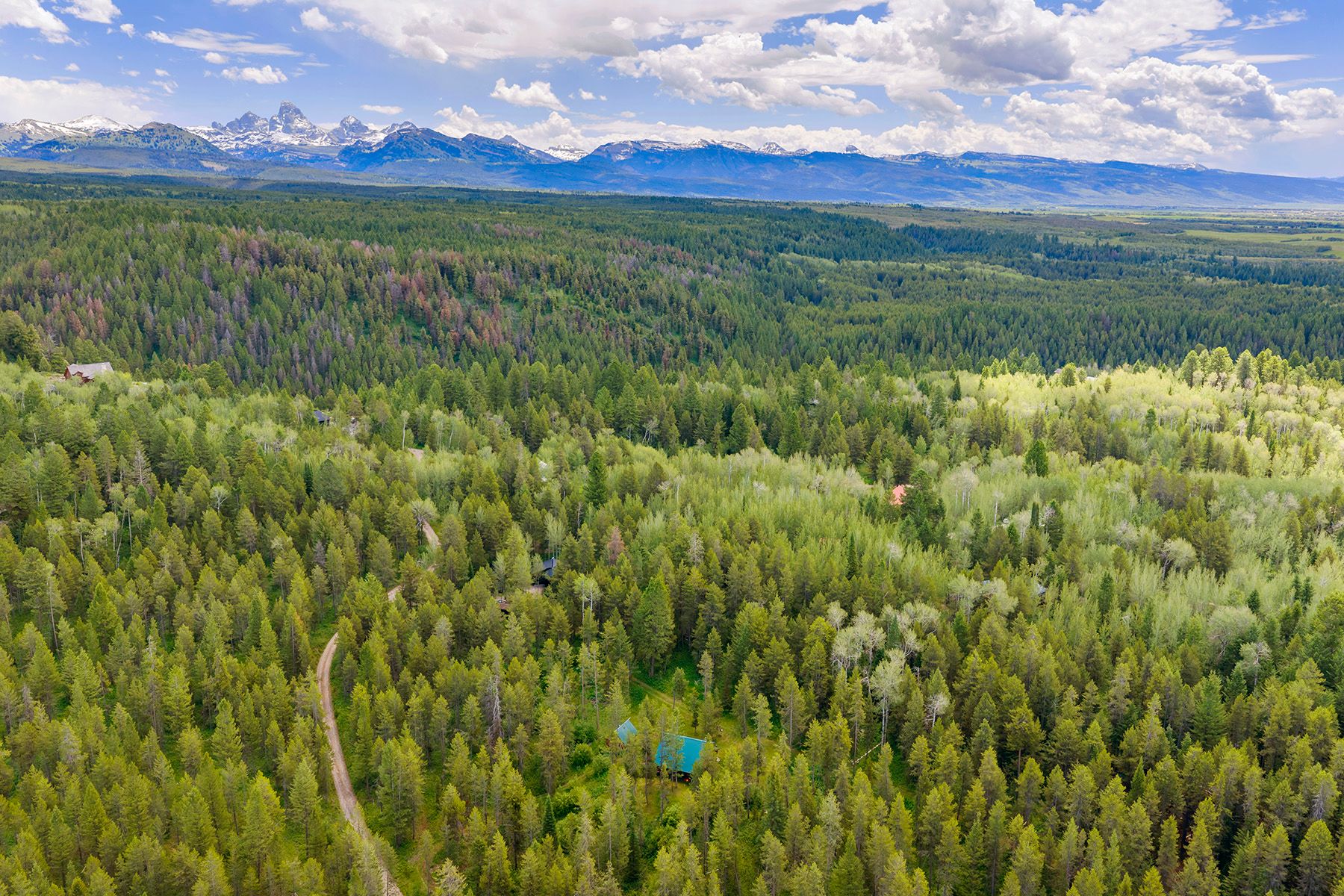  The Woodland at Grand Teton Estates - 物件實景