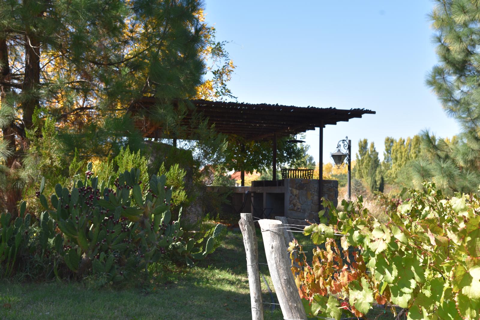 Lujan De Cuyo, AR-M, AR, 5 Bedrooms Bedrooms, ,8 BathroomsBathrooms,Residential,For Sale,1999071