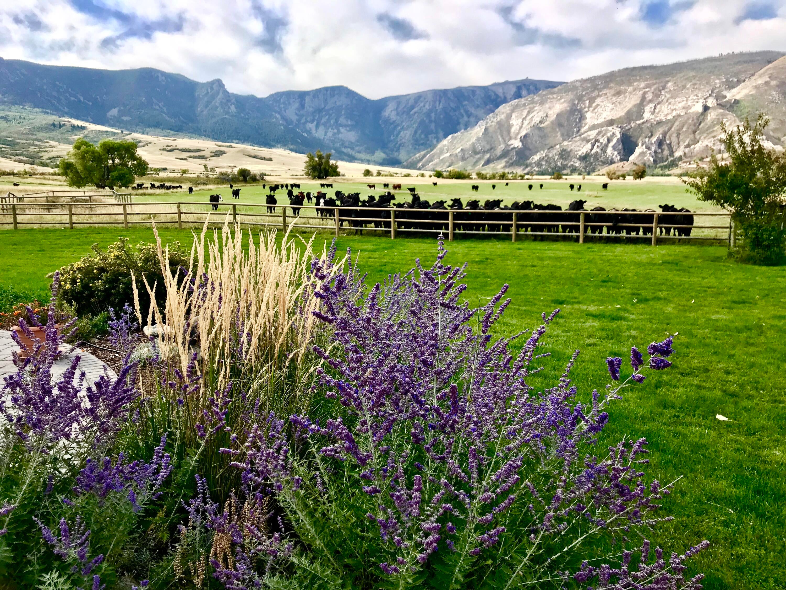 Big Horn, Wyoming, 82833, United States, 3 Bedrooms Bedrooms, ,4 BathroomsBathrooms,Residential,For Sale,2011301