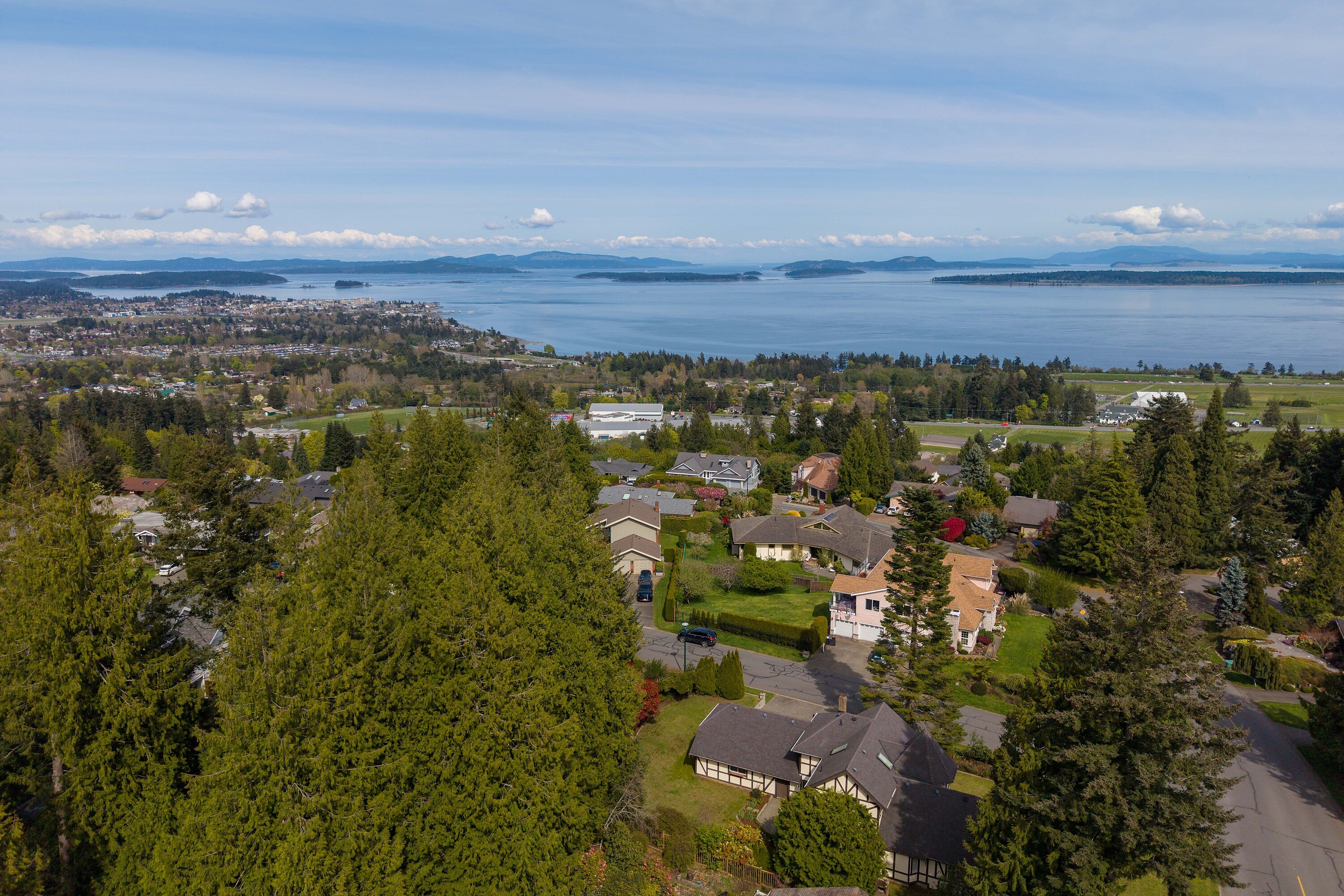  Dean Park Opportunity - 物件實景