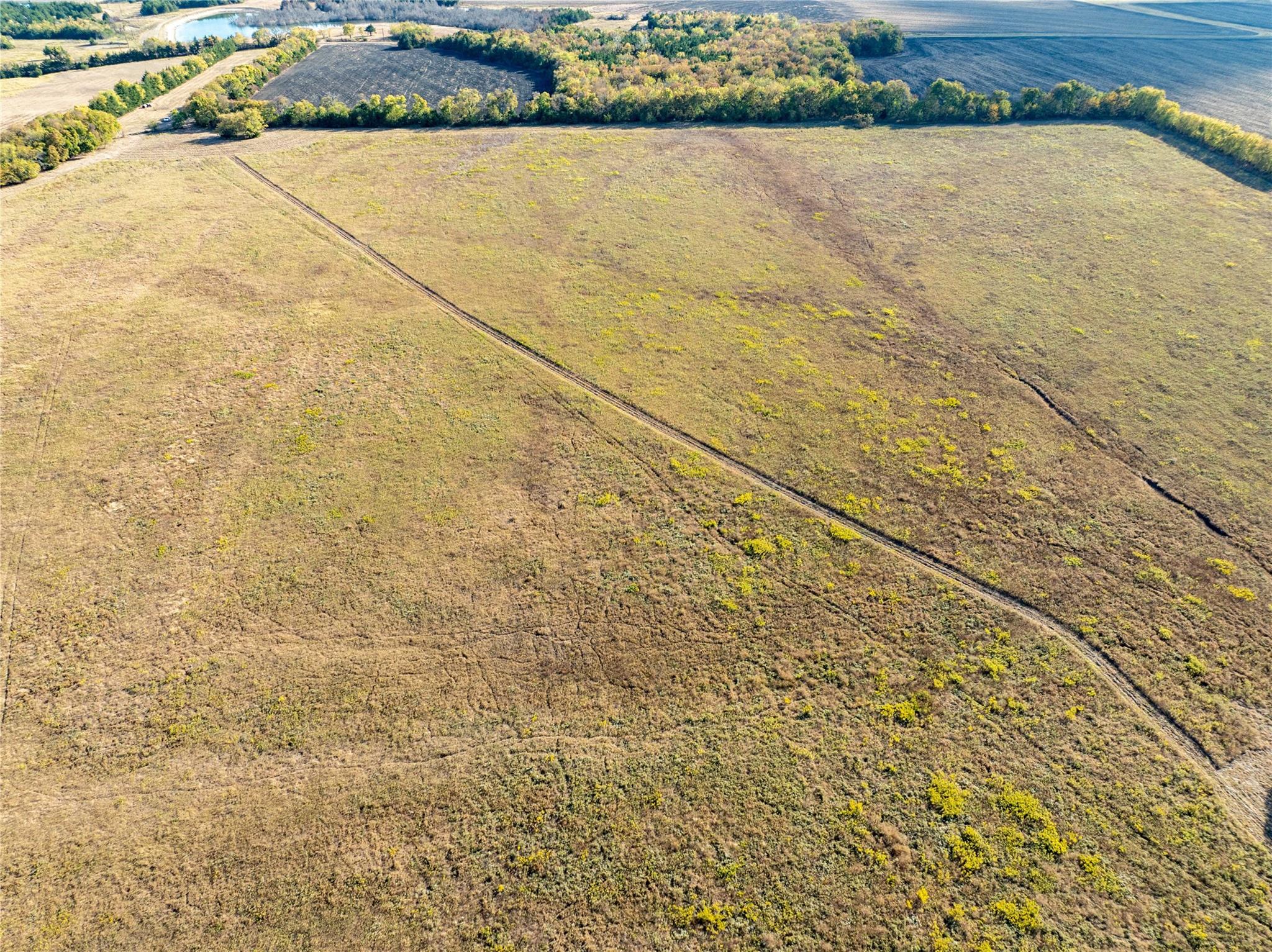 Brookston, Texas, 75421, United States, ,Residential,For Sale,1842459
