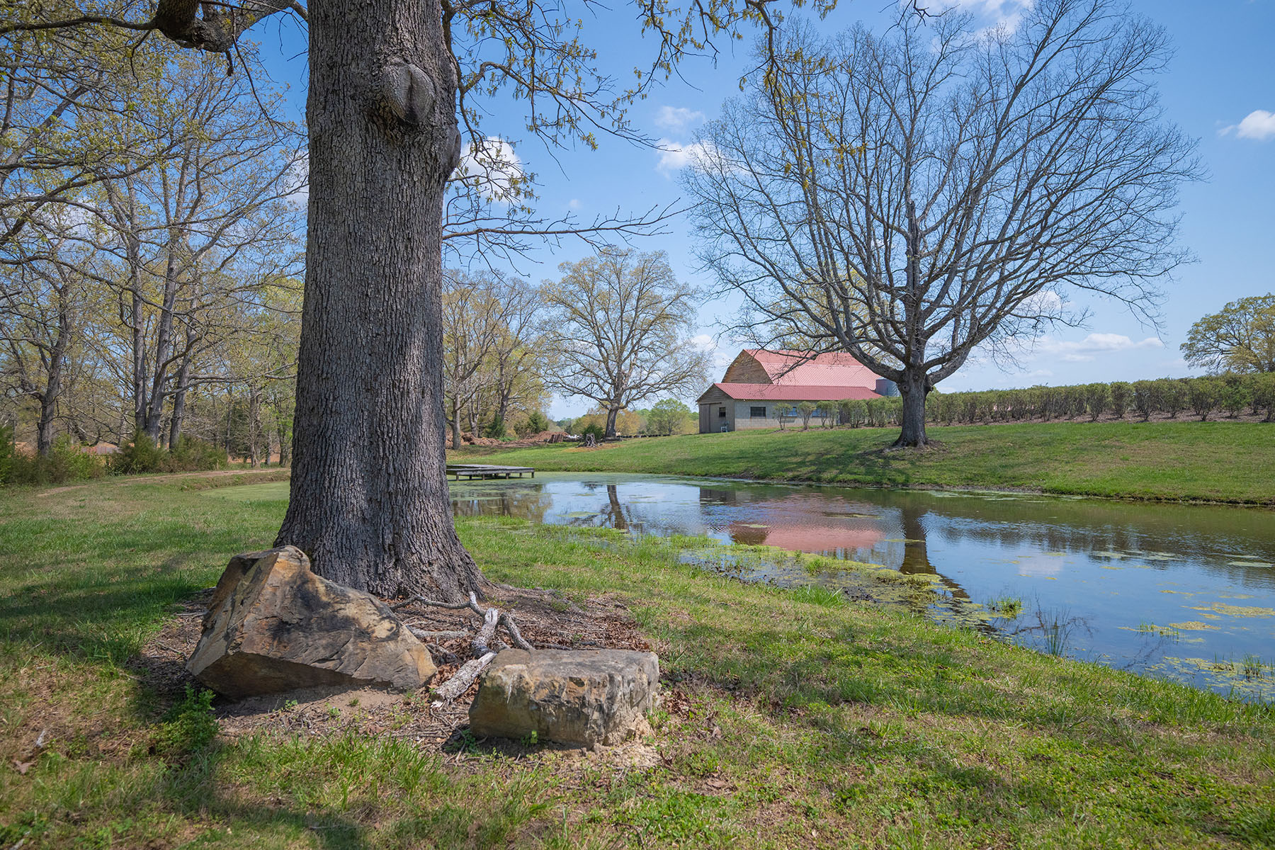  Albemarle - 物件實景