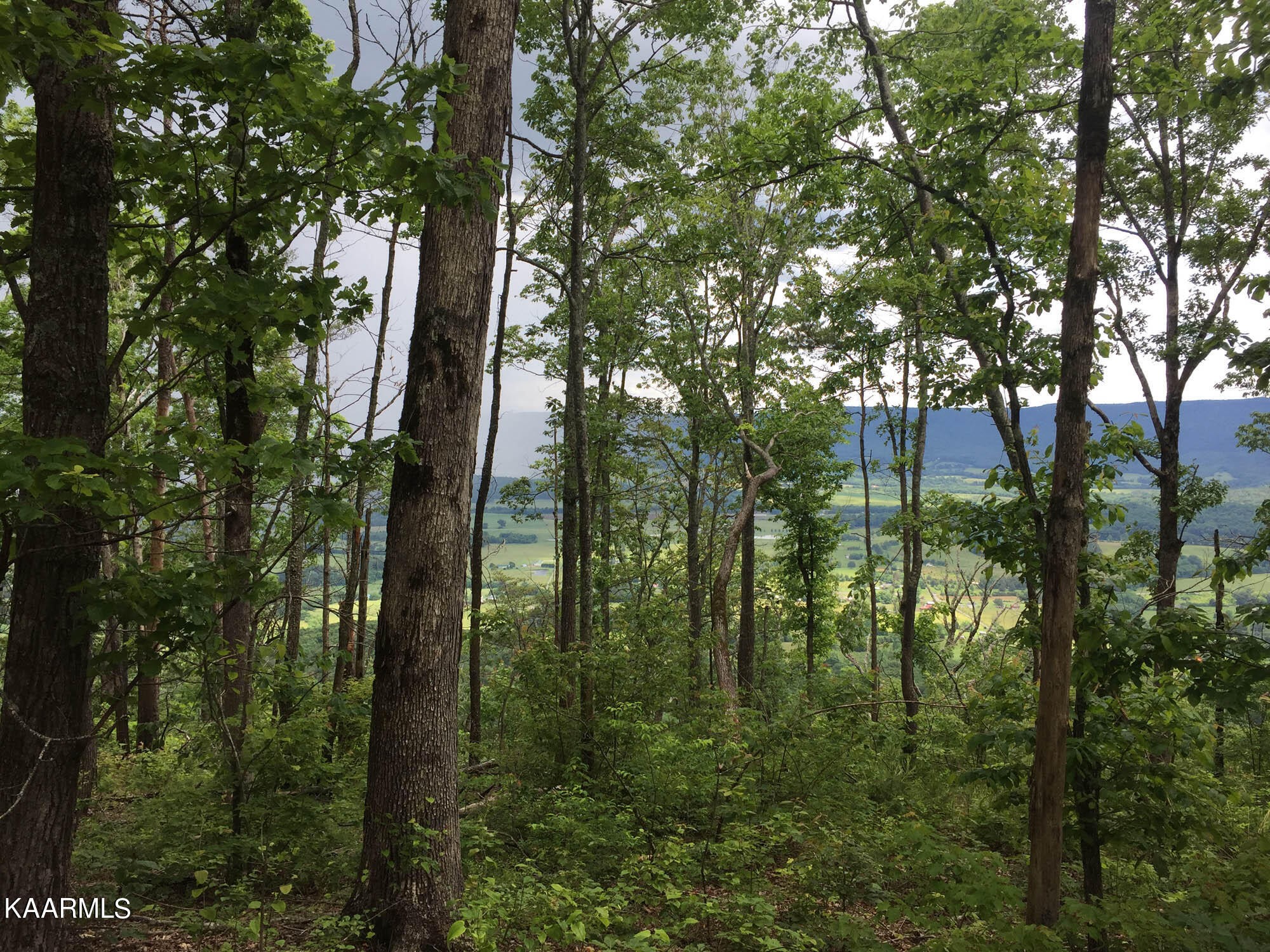 Pikeville, Tennessee, 37367, United States, ,Residential,For Sale,1943070