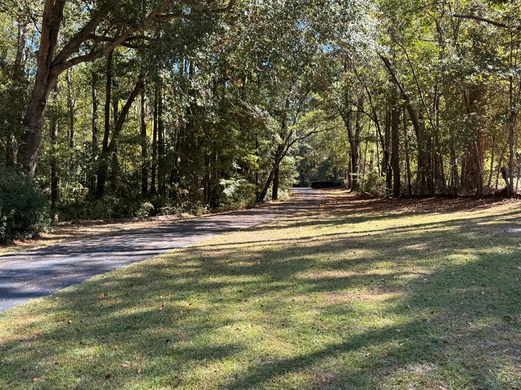 Chula, Georgia, 31733, United States, 4 Bedrooms Bedrooms, ,4 BathroomsBathrooms,Residential,For Sale,1979714
