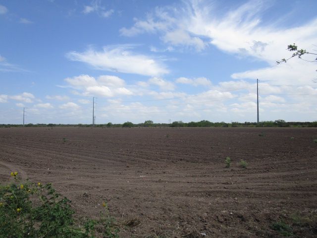 San Benito, Texas, 78586, United States, ,Residential,For Sale,1737428
