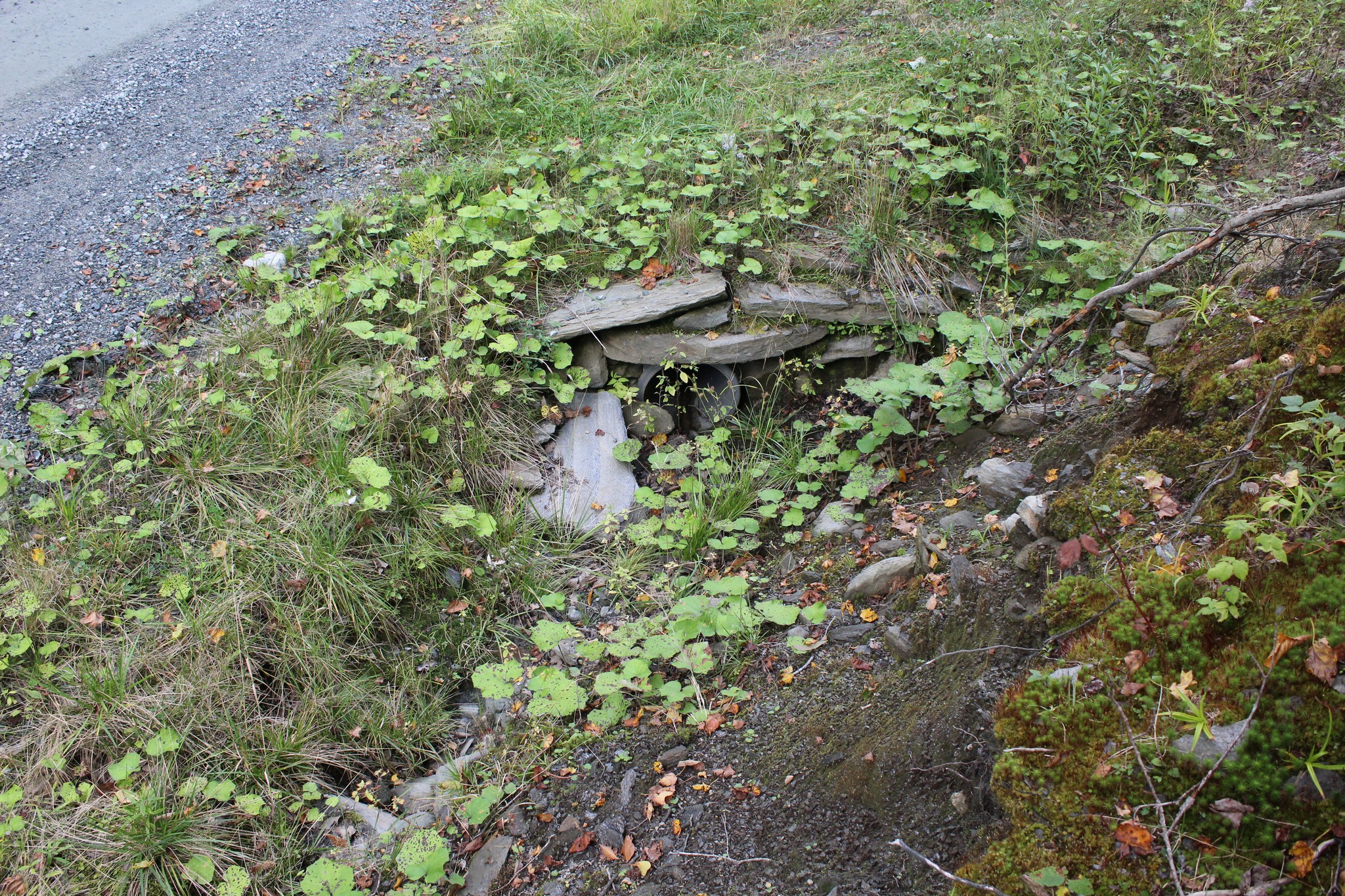  38 Johnson Hill Road - 物件實景