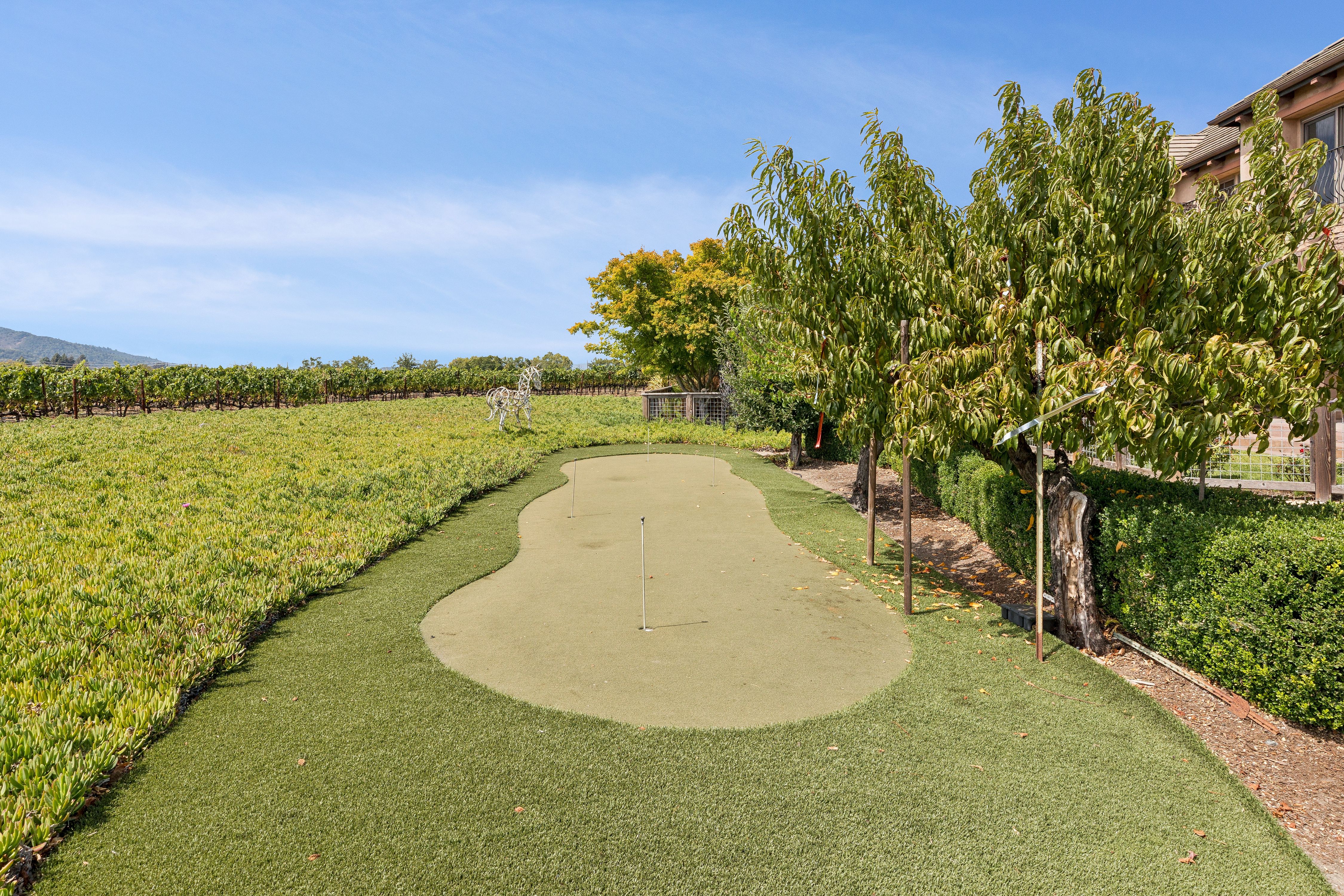  Extraordinary Napa Valley Estate - 物件實景