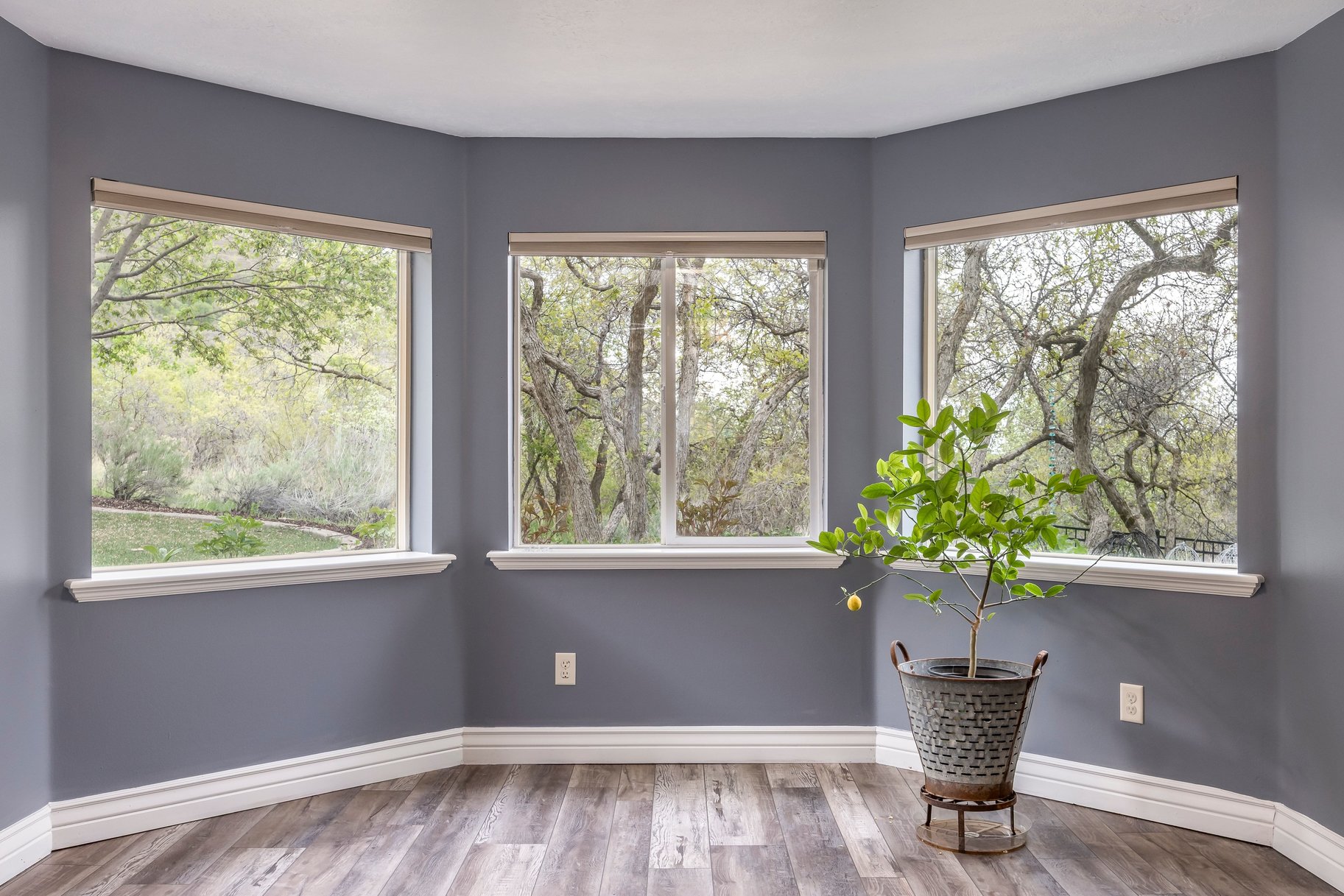  Unmatched Alpine Views - 物件實景