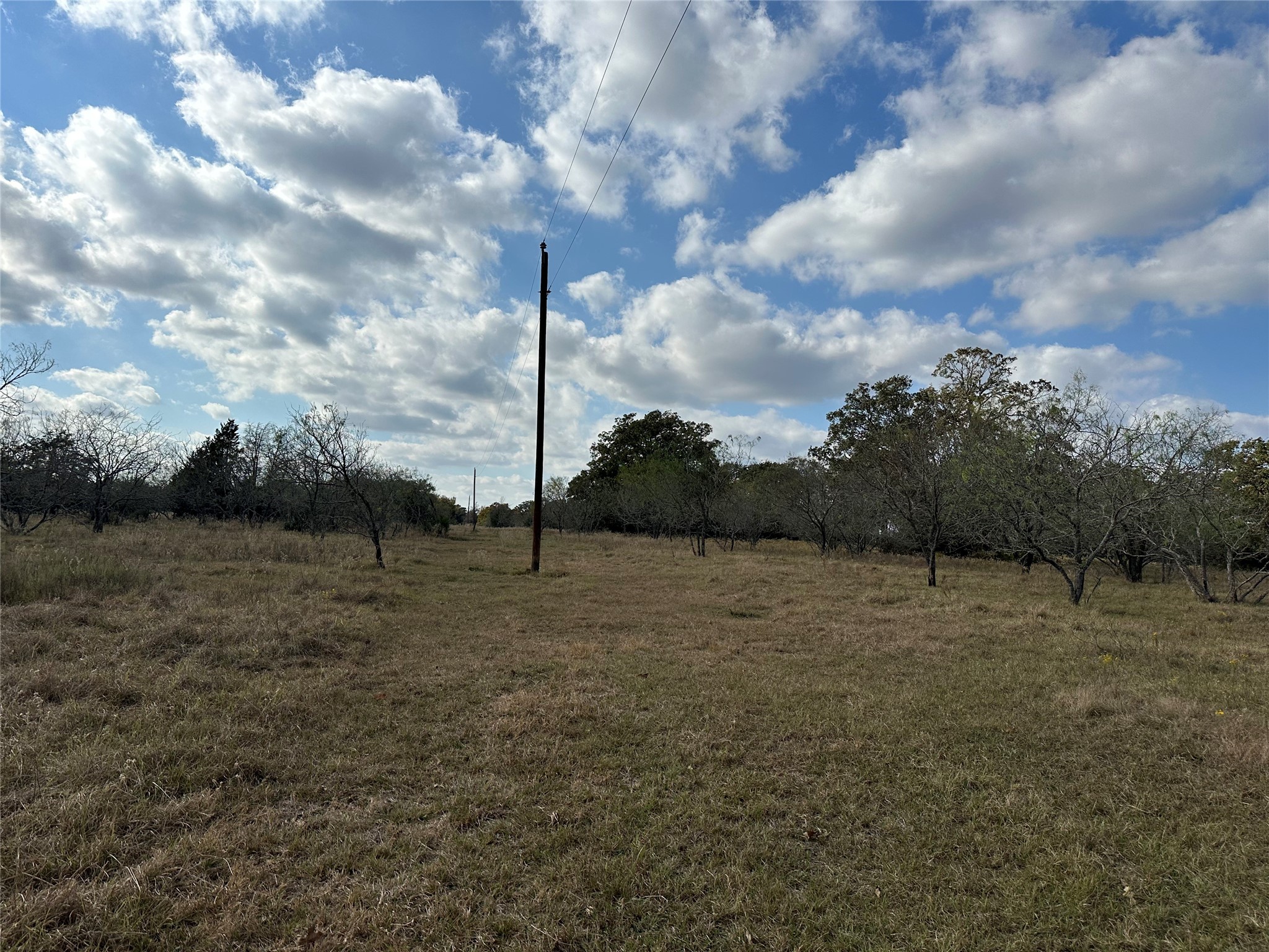 Thornton, Texas, 76687, United States, ,Land,For Sale,1995546