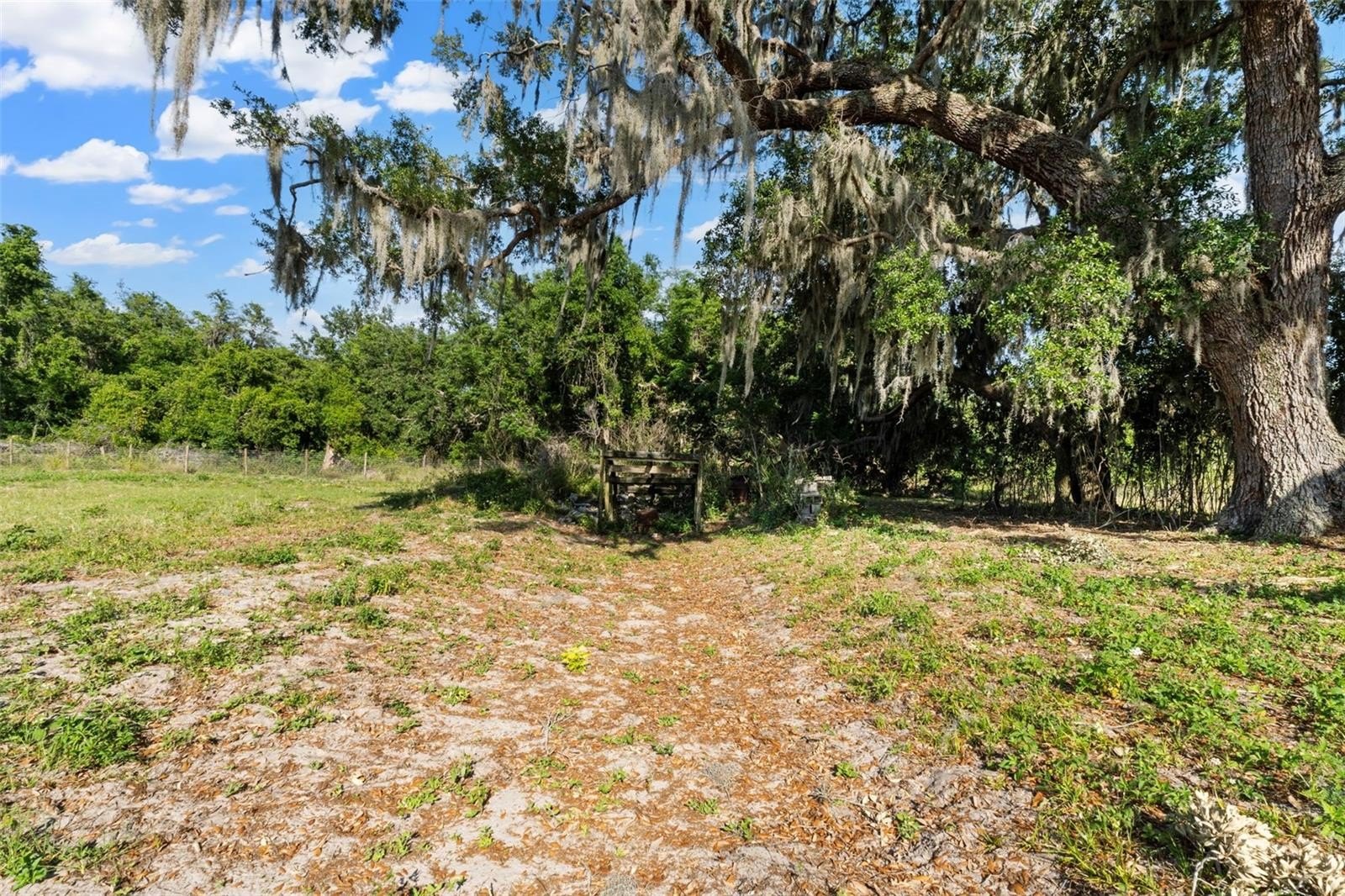 HAINES CITY, Florida, 33844, United States, 4 Bedrooms Bedrooms, ,3 BathroomsBathrooms,Residential,For Sale,1983329