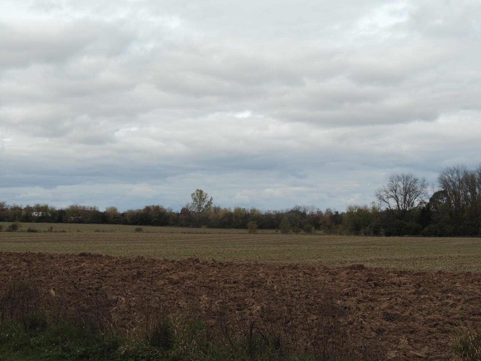 Neenah, Wisconsin, 54956, United States, ,Land,For Sale,1983139