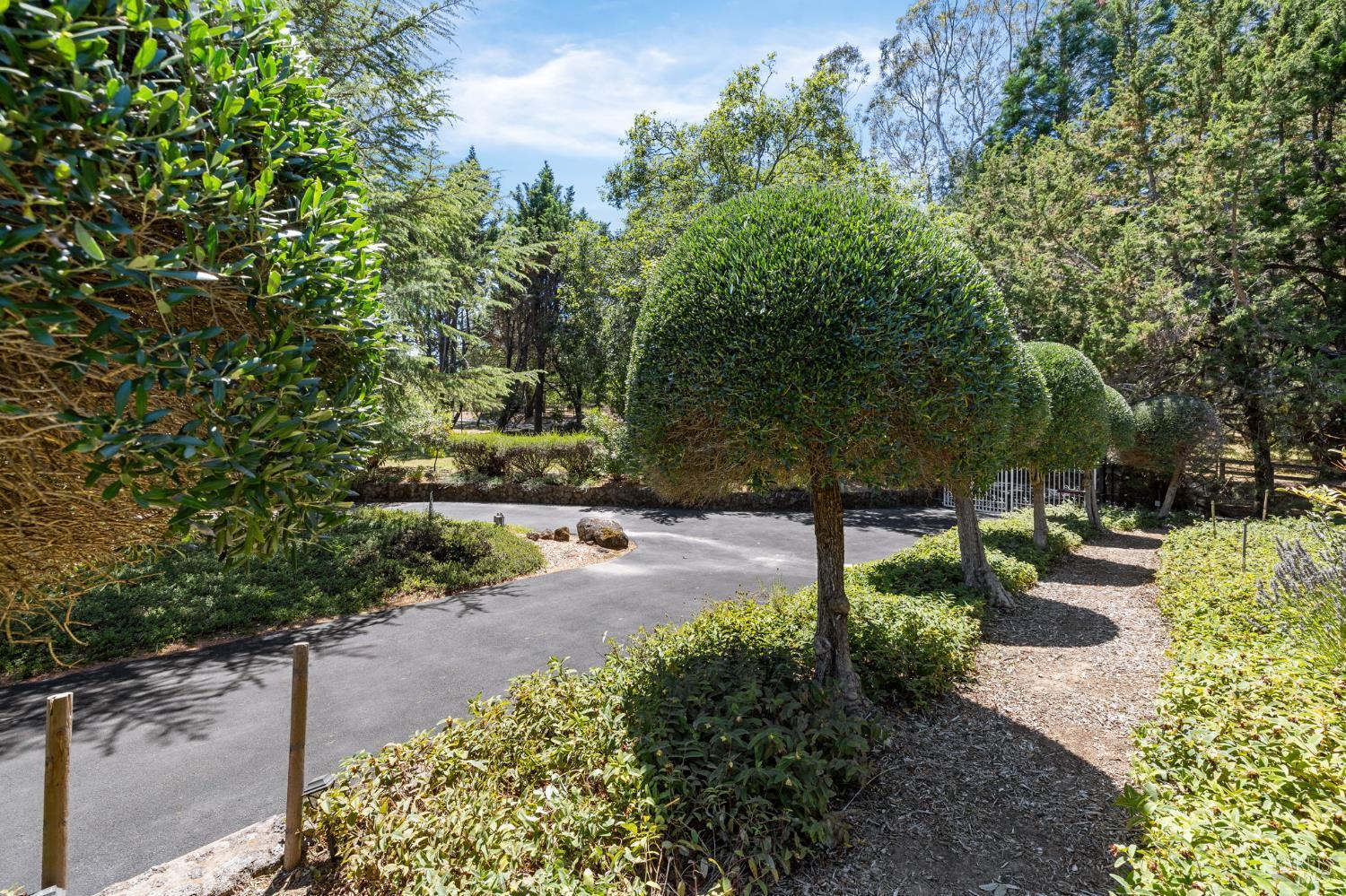 Sebastopol, California, 95472, United States, 4 Bedrooms Bedrooms, ,5 BathroomsBathrooms,Residential,For Sale,1980868