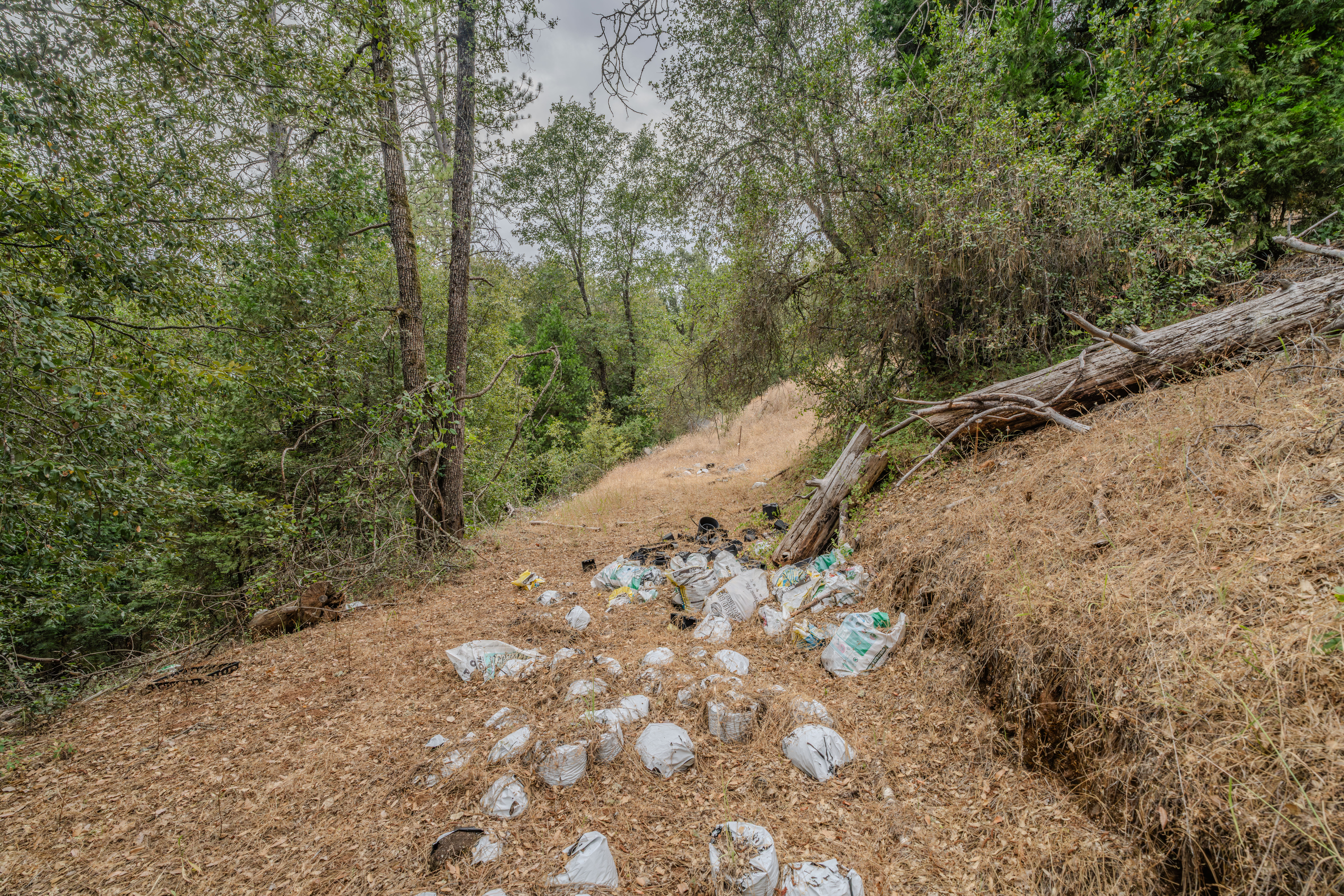 18101 Old River Road, Fiddletown, CA 95629 - 物件實景