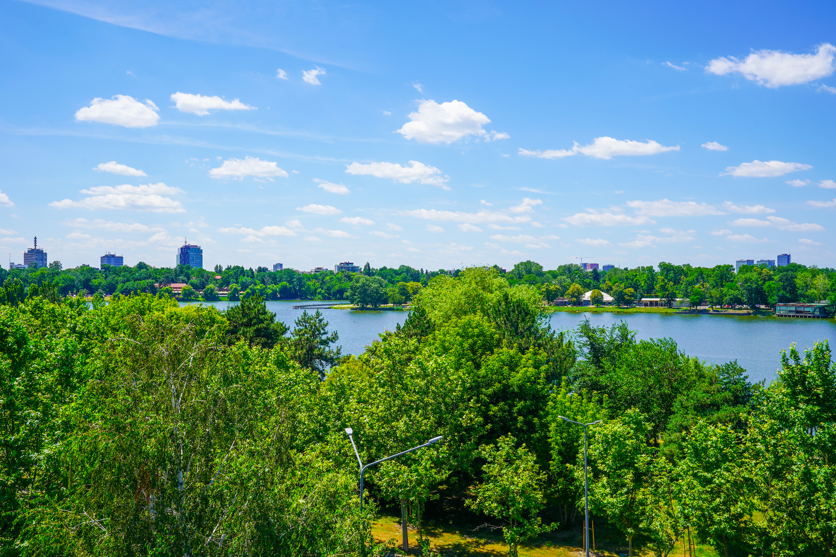  Rare Villa Overlooking Lake Floreasca - 物件實景