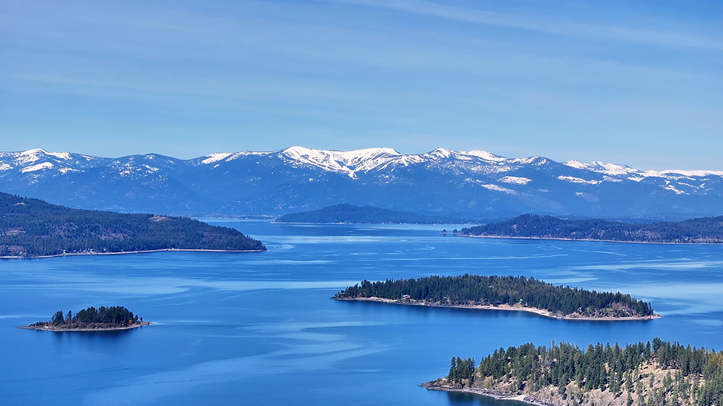 Sandpoint, Idaho, 83864, United States, ,Land,For Sale,1976302