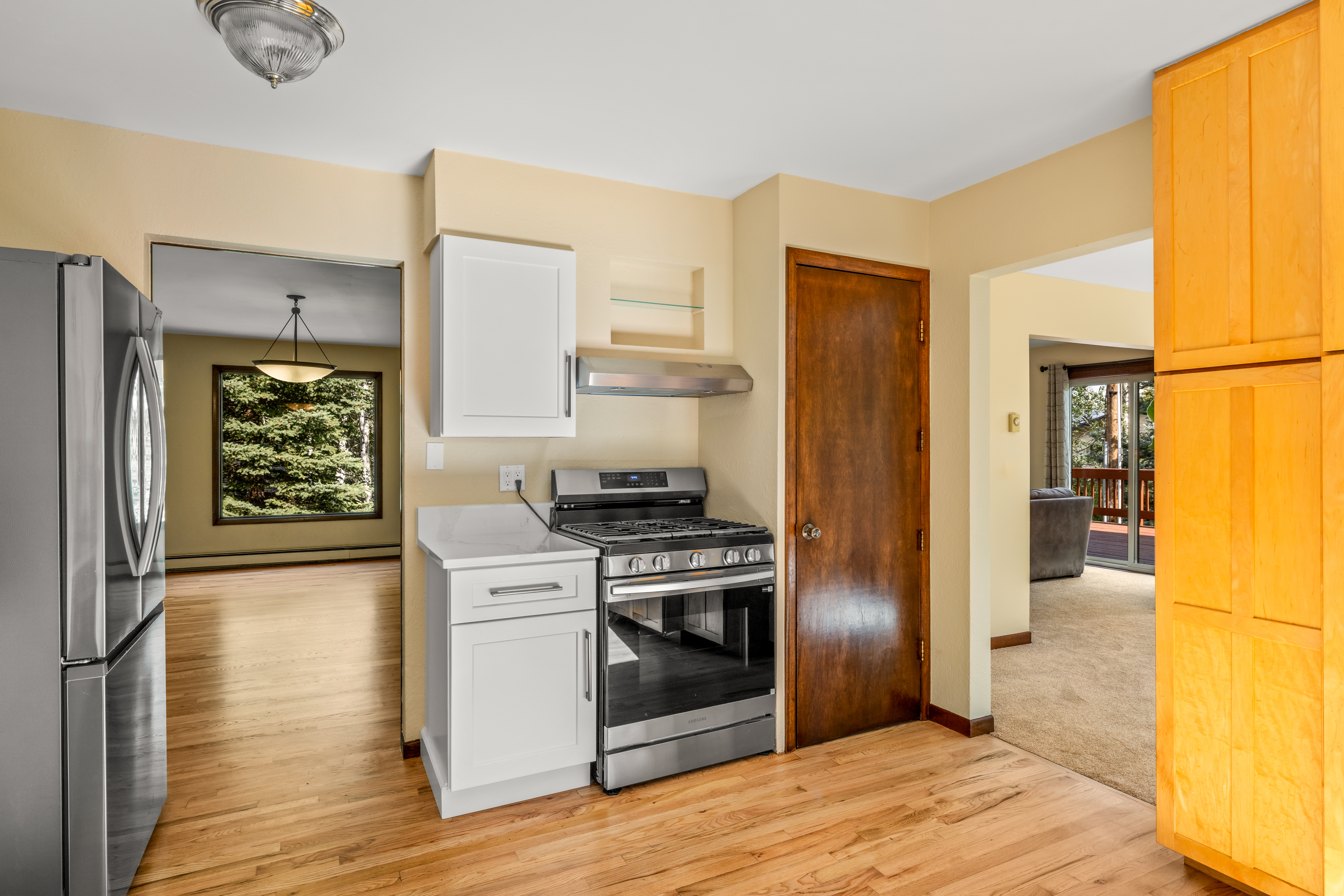  1141 Thornburg Street, Steamboat Springs, CO, 80487 - 物件實景
