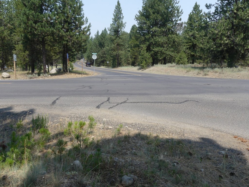 McCall, Idaho, 83638, United States, ,Land,For Sale,2005964