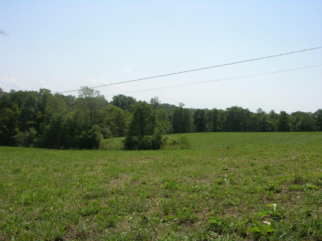 1400 Curtis Pike, Richmond, Kentucky, 40475, United States, ,Land,For Sale,1400 Curtis Pike,1616978