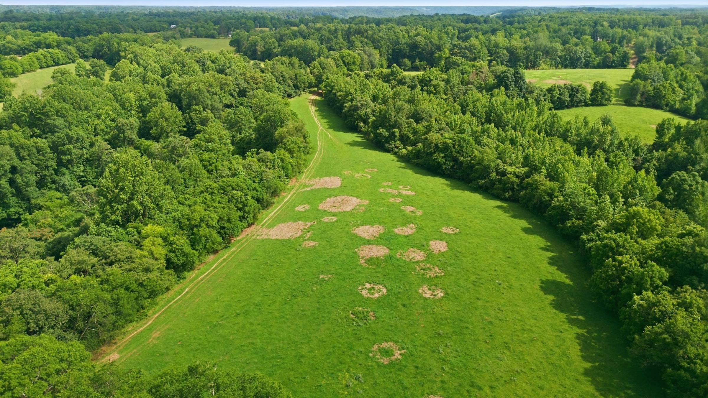  925 Sumac Rd, Pulaski, TN, 38478 - 物件實景