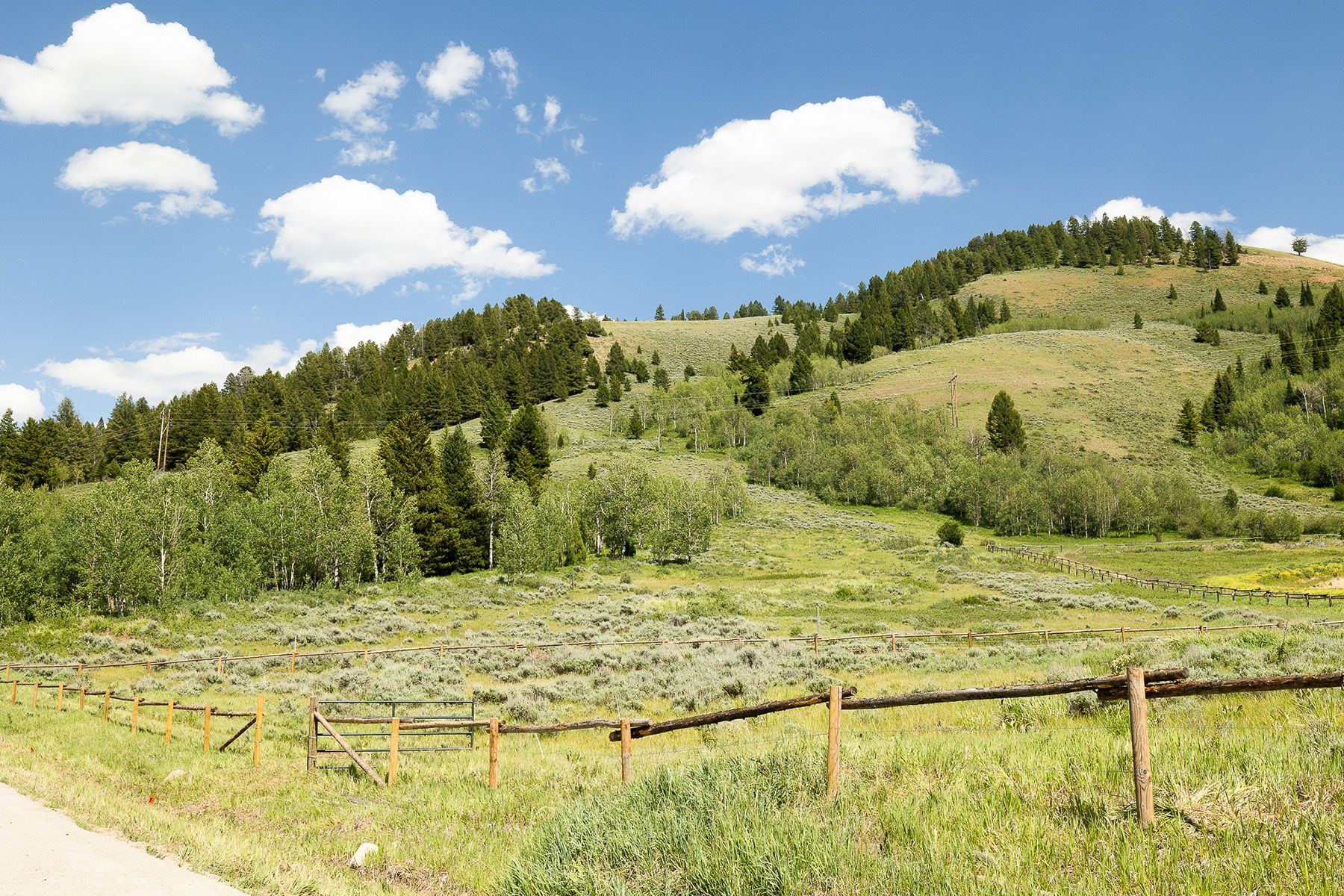  Snake River Sporting Club Lot - 物件實景