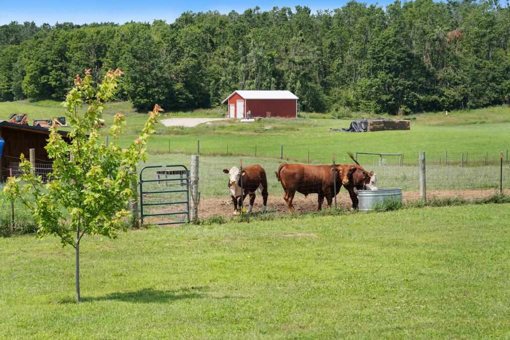 Alanson, Michigan, 49706, United States, 3 Bedrooms Bedrooms, ,3 BathroomsBathrooms,Residential,For Sale,1907039