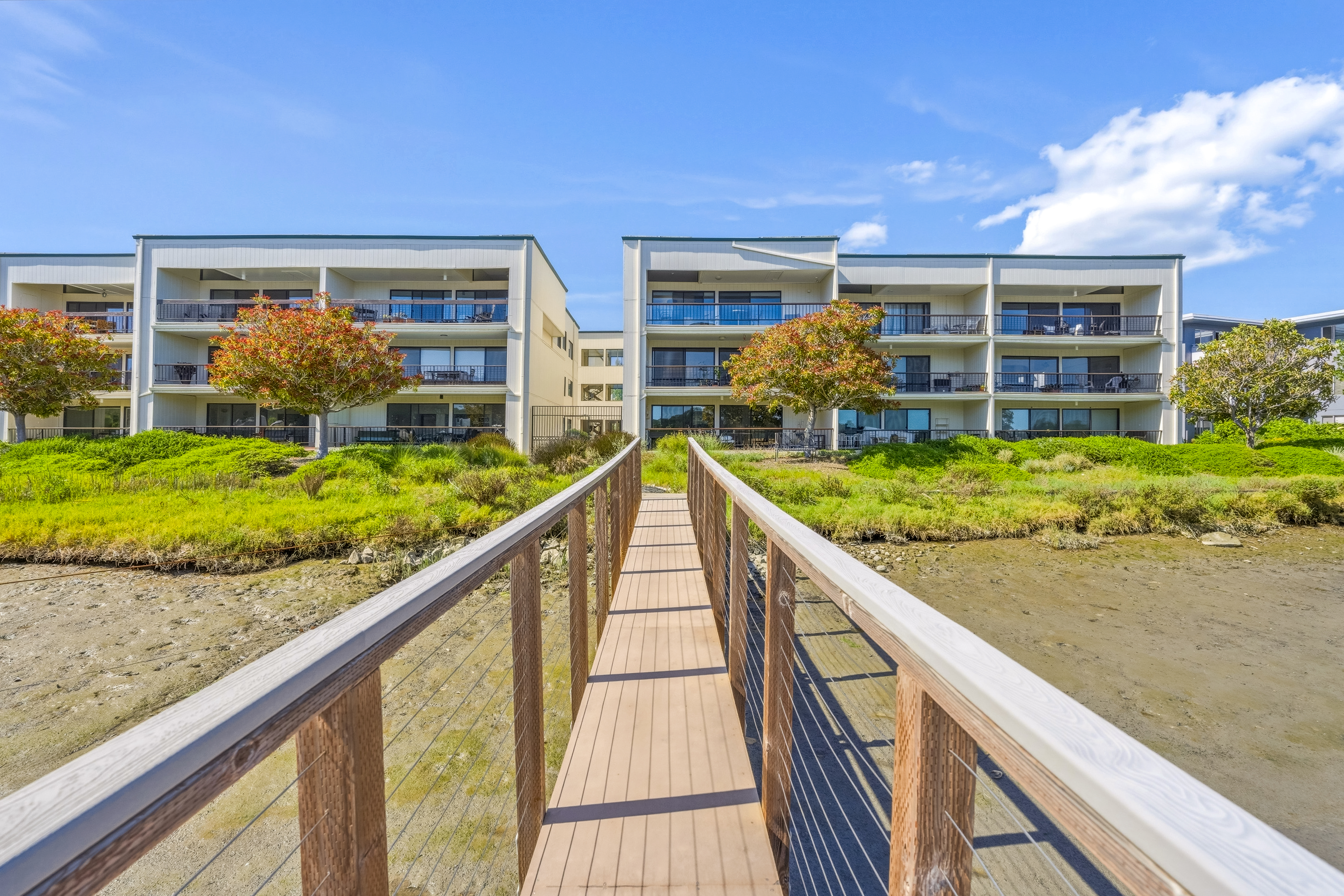  Spacious Top-Floor Condo in the Heart of Greenbrae - 物件實景