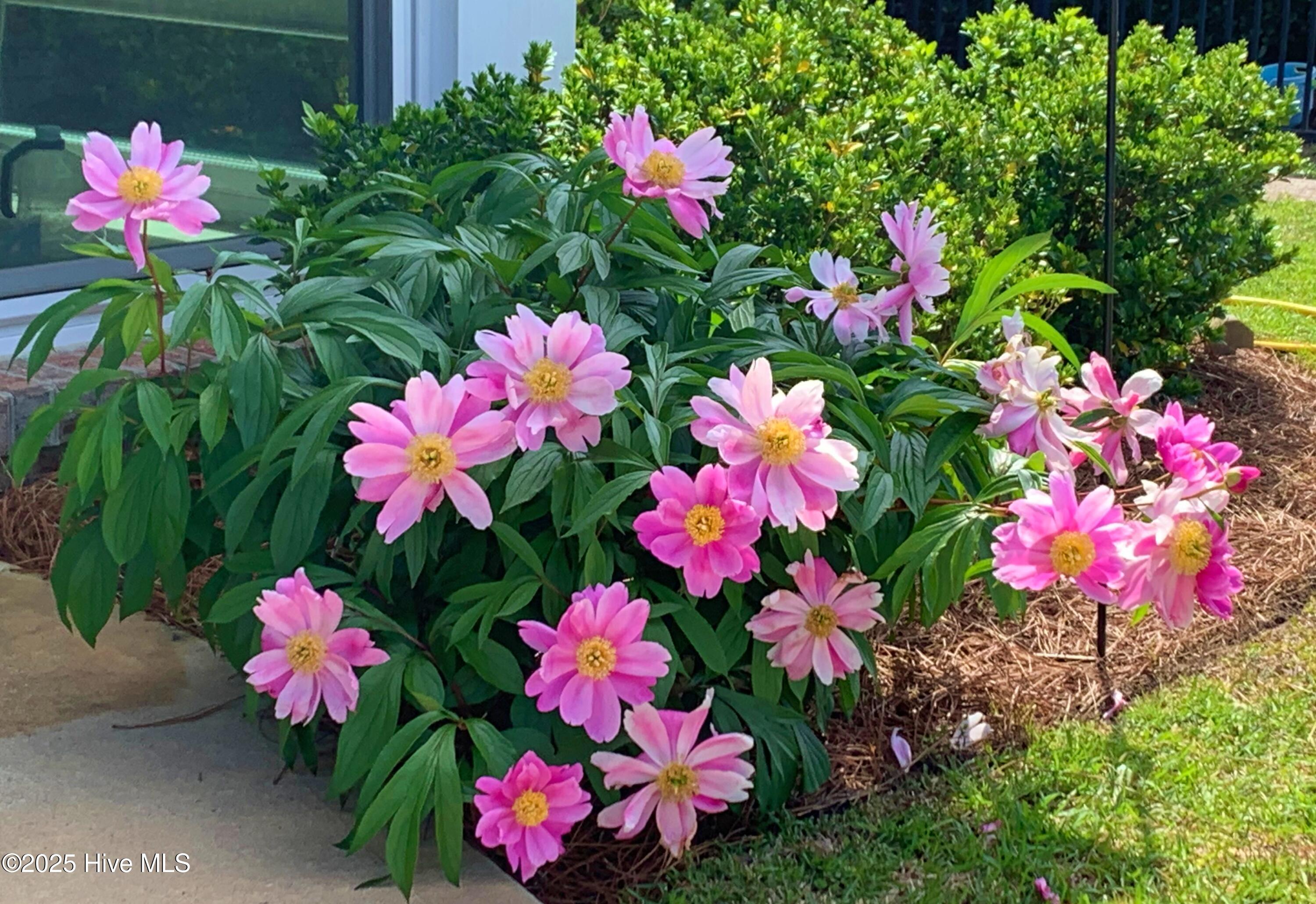 Leland, North Carolina, 28451, United States, 3 Bedrooms Bedrooms, ,3 BathroomsBathrooms,Residential,For Sale,1962927