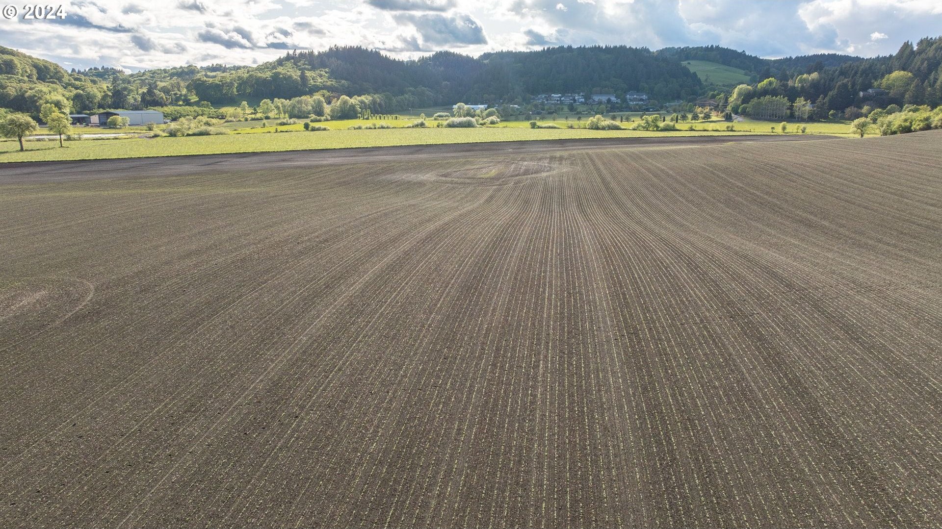 0 SW YOUNGBERG HILL RD, McMinnville, Oregon, 97128, United States, ,Land,For Sale,0 SW YOUNGBERG HILL RD,1523694