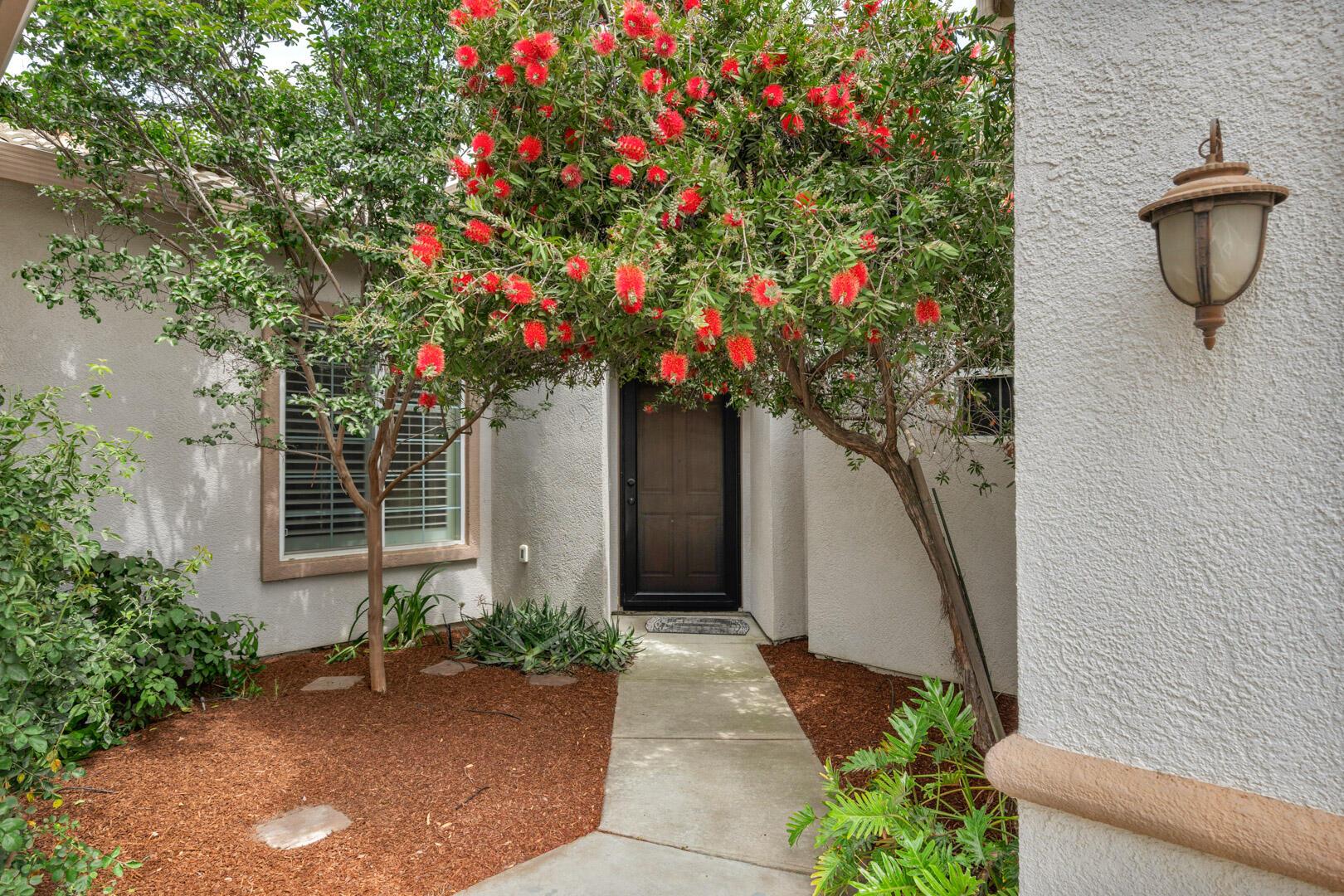 Visalia, California, 93291, United States, 4 Bedrooms Bedrooms, ,3 BathroomsBathrooms,Residential,For Sale,2009986