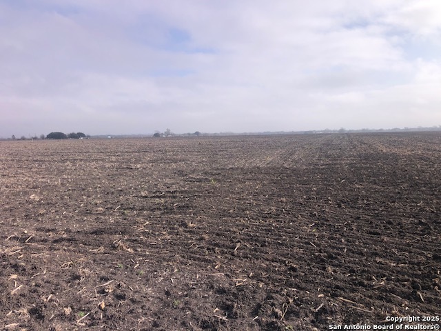 Seguin, Texas, 78155, United States, ,Land,For Sale,1981950