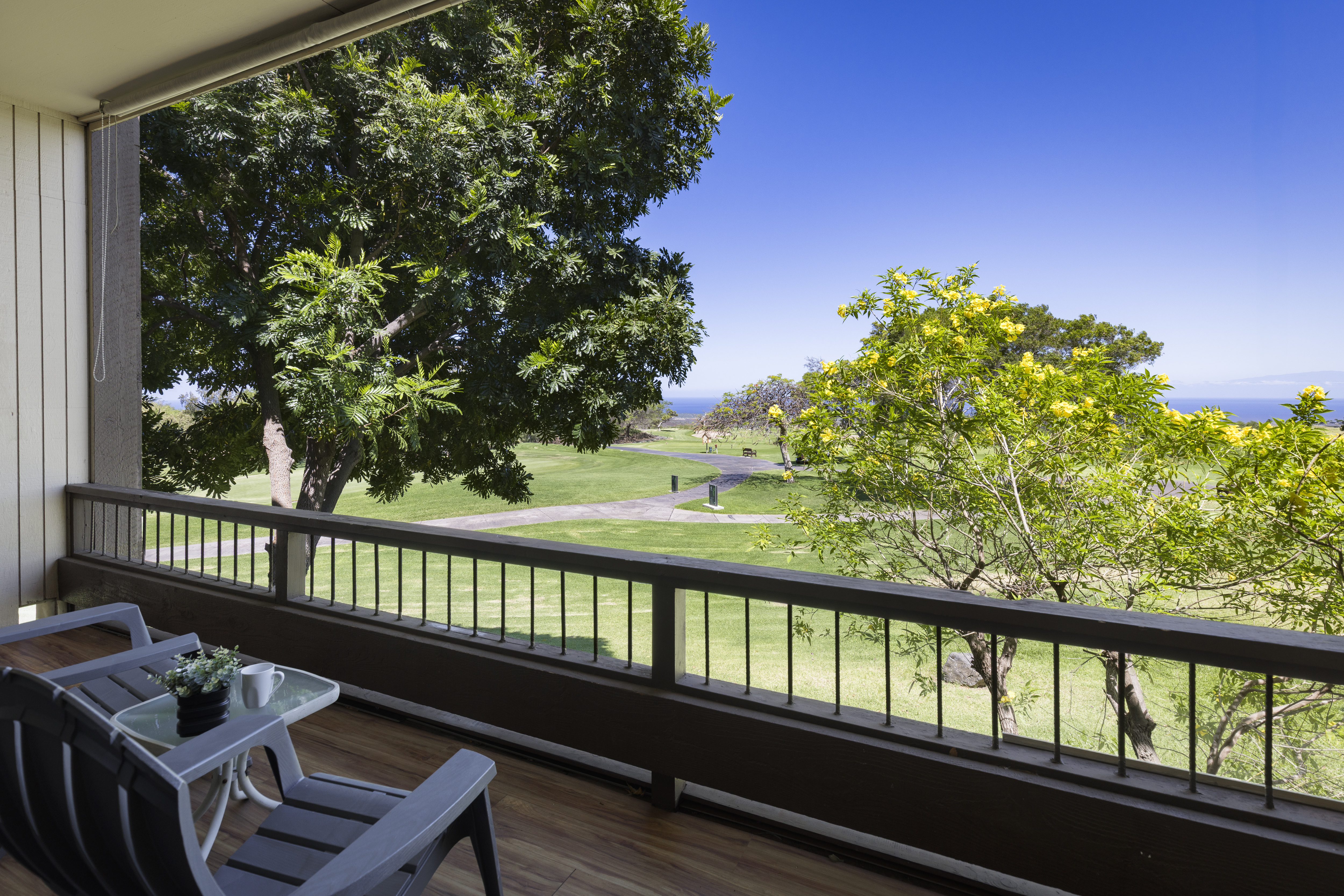  68-1767 Melia Street, D106 DL2, Waikoloa Village, HI 96738 - 物件實景