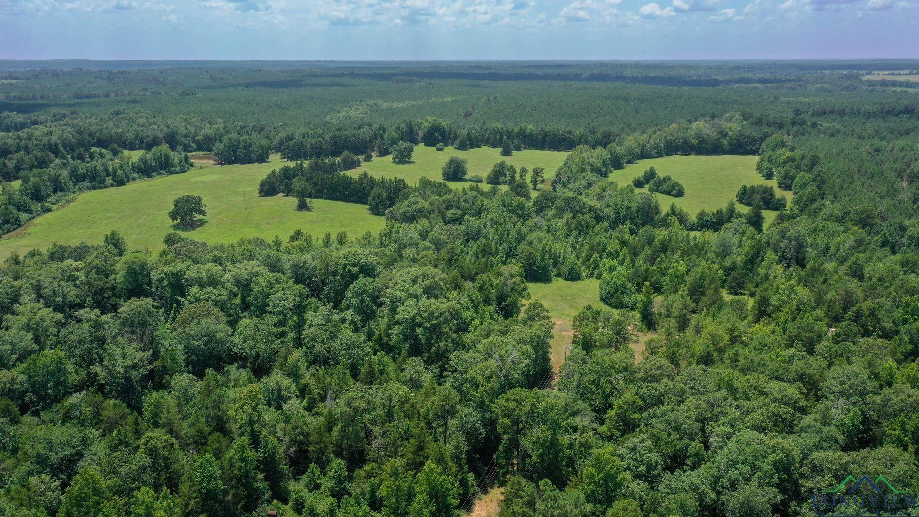 Linden, Texas, 75563, United States, 3 Bedrooms Bedrooms, ,3 BathroomsBathrooms,Residential,For Sale,1974630