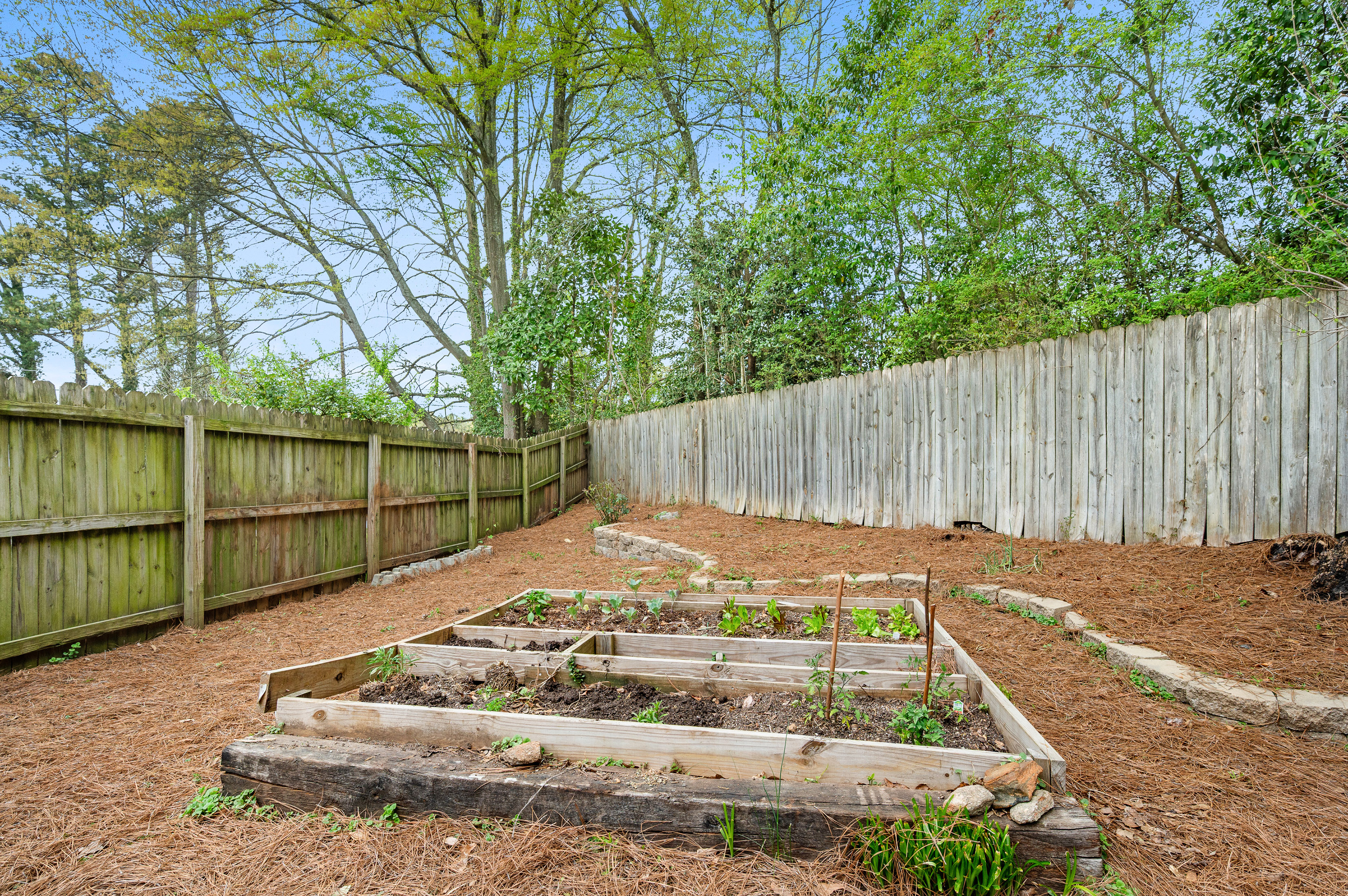  Charming Brick Ranch in Decatur - 物件實景