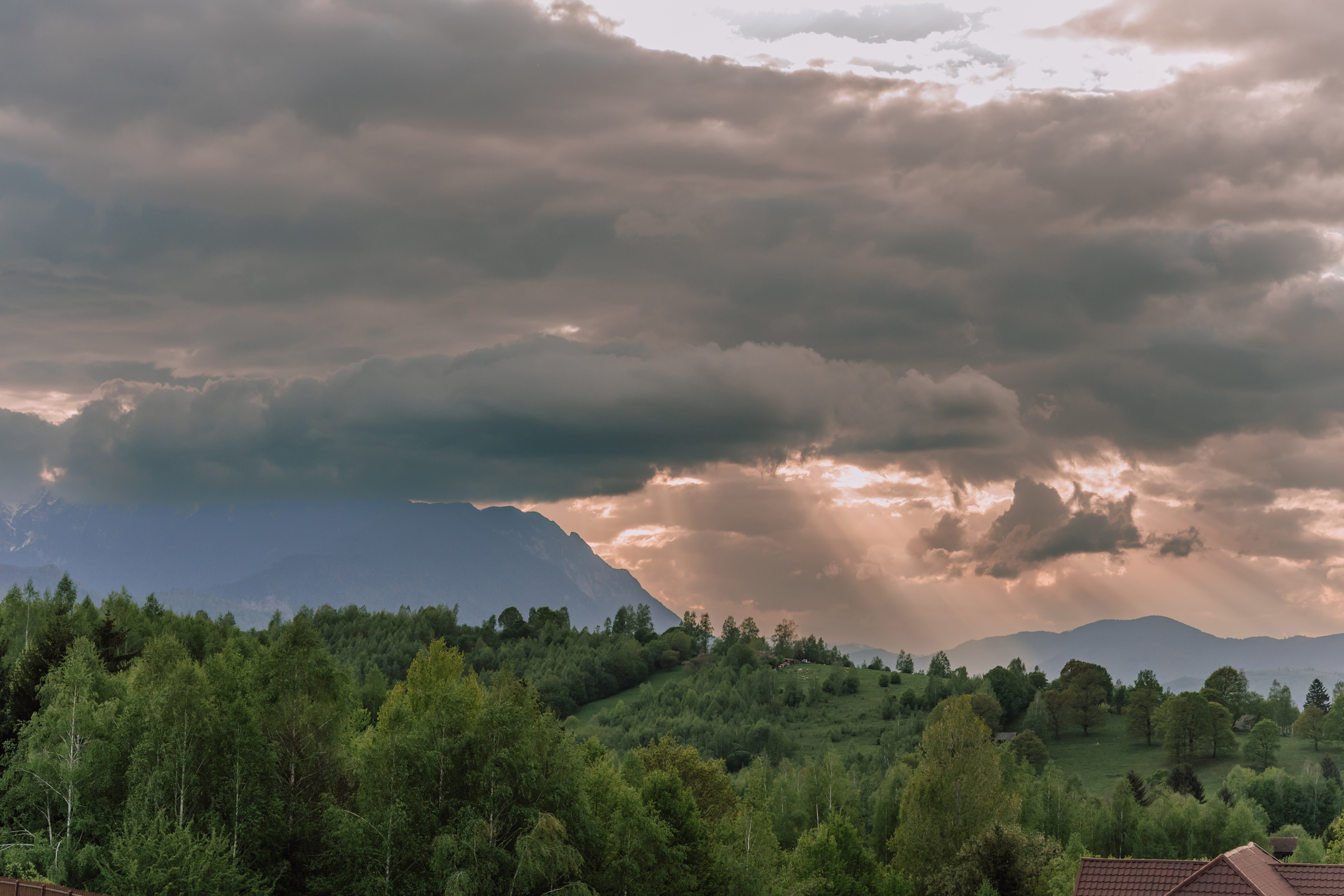  Skyline Chalet, the Cabin Between Forest and Mountains, Braov - 物件實景