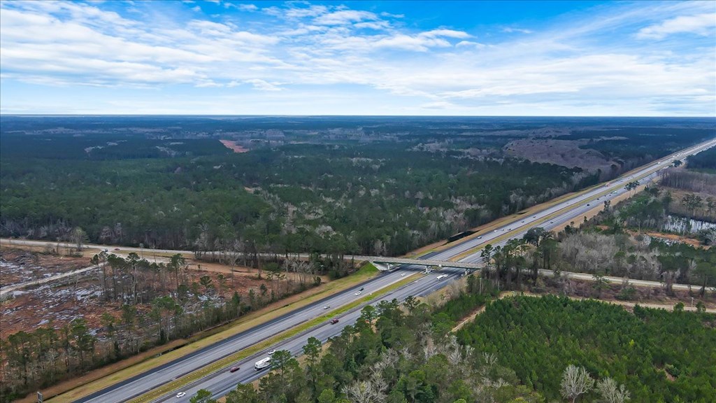 156 AC Us Hwy 17 Hwy, Townsend, Georgia, 31331, United States, ,Land,For Sale,156 AC Us Hwy 17 Hwy,1472997