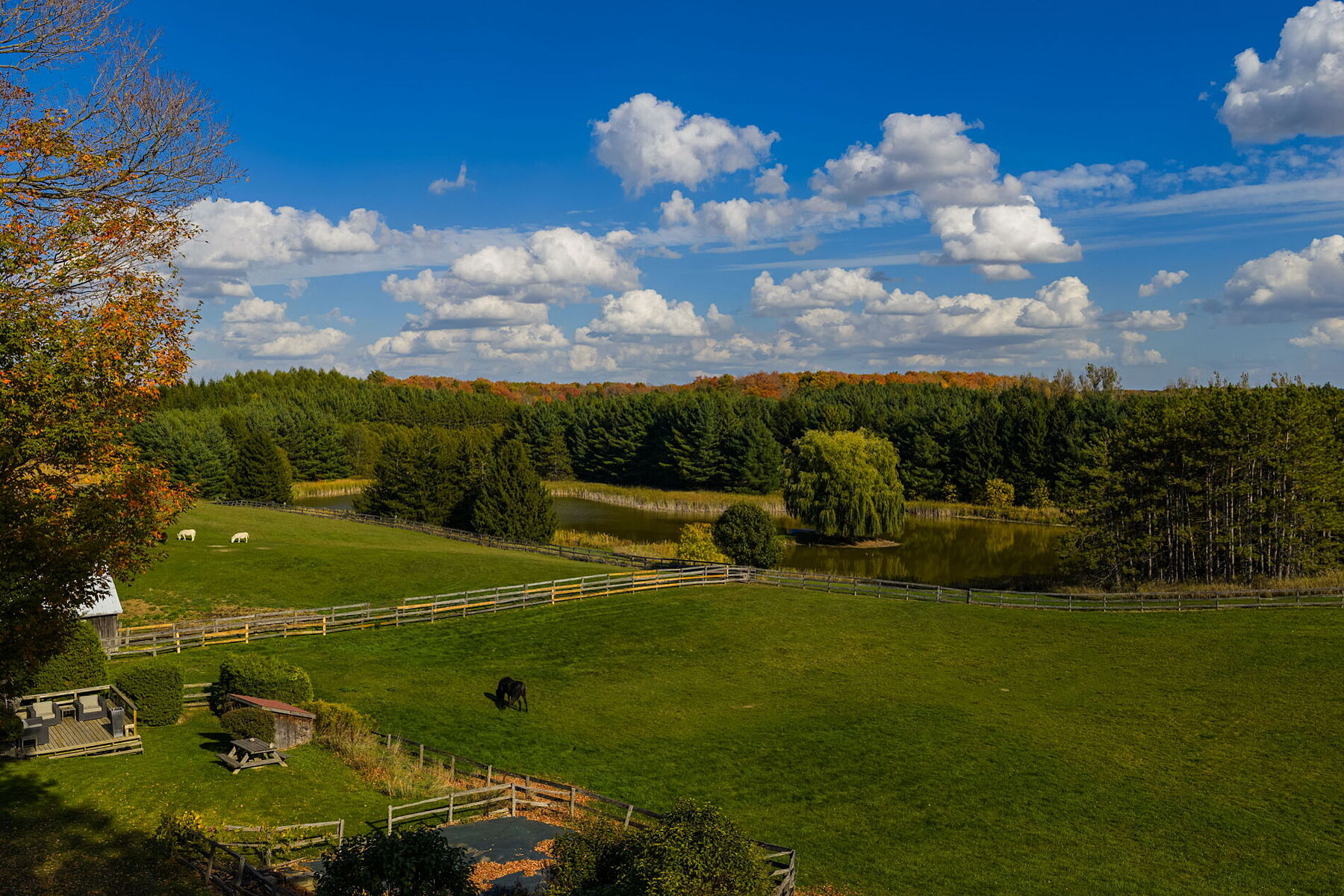  Country Living - 物件實景
